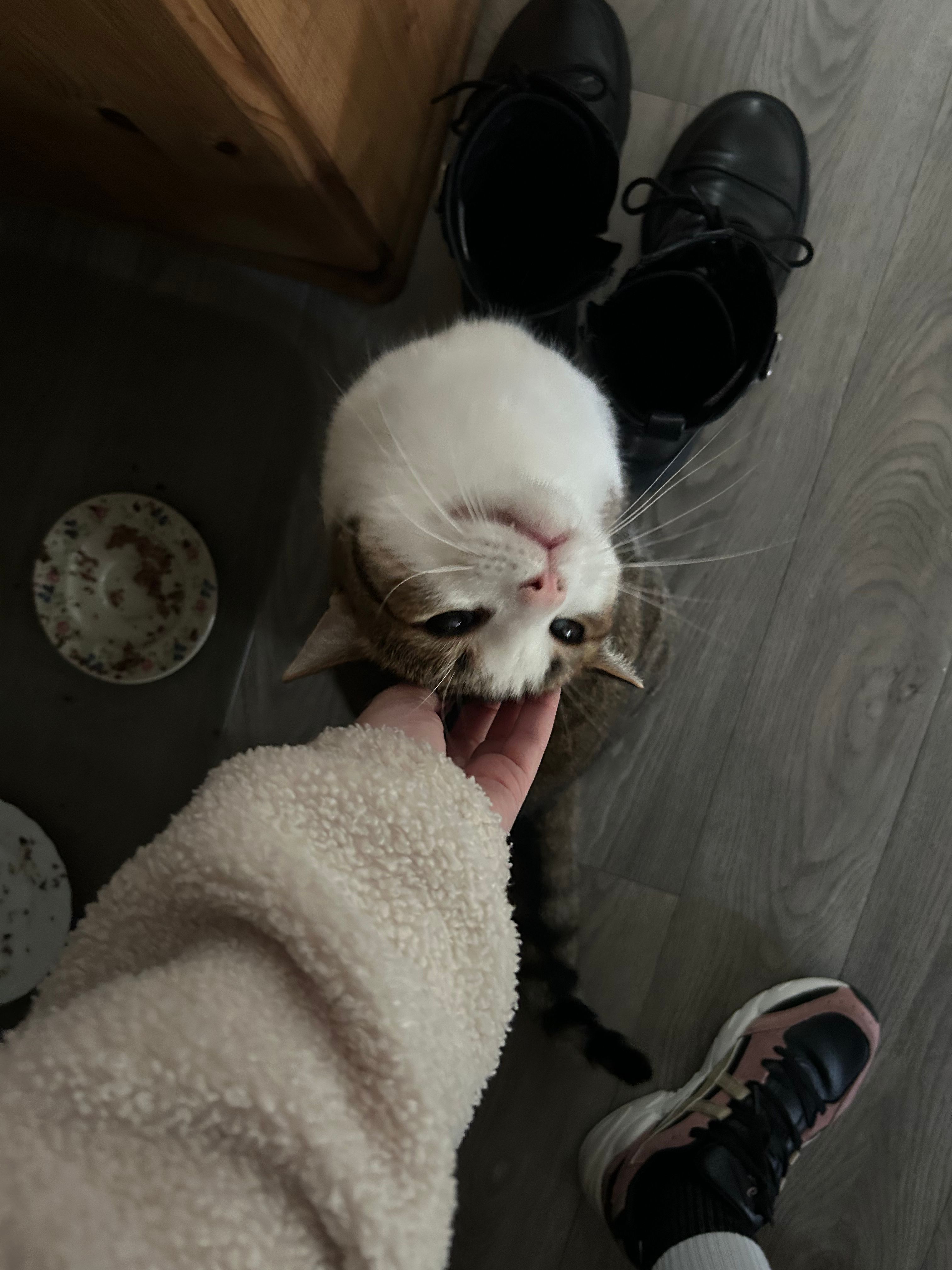 image-15