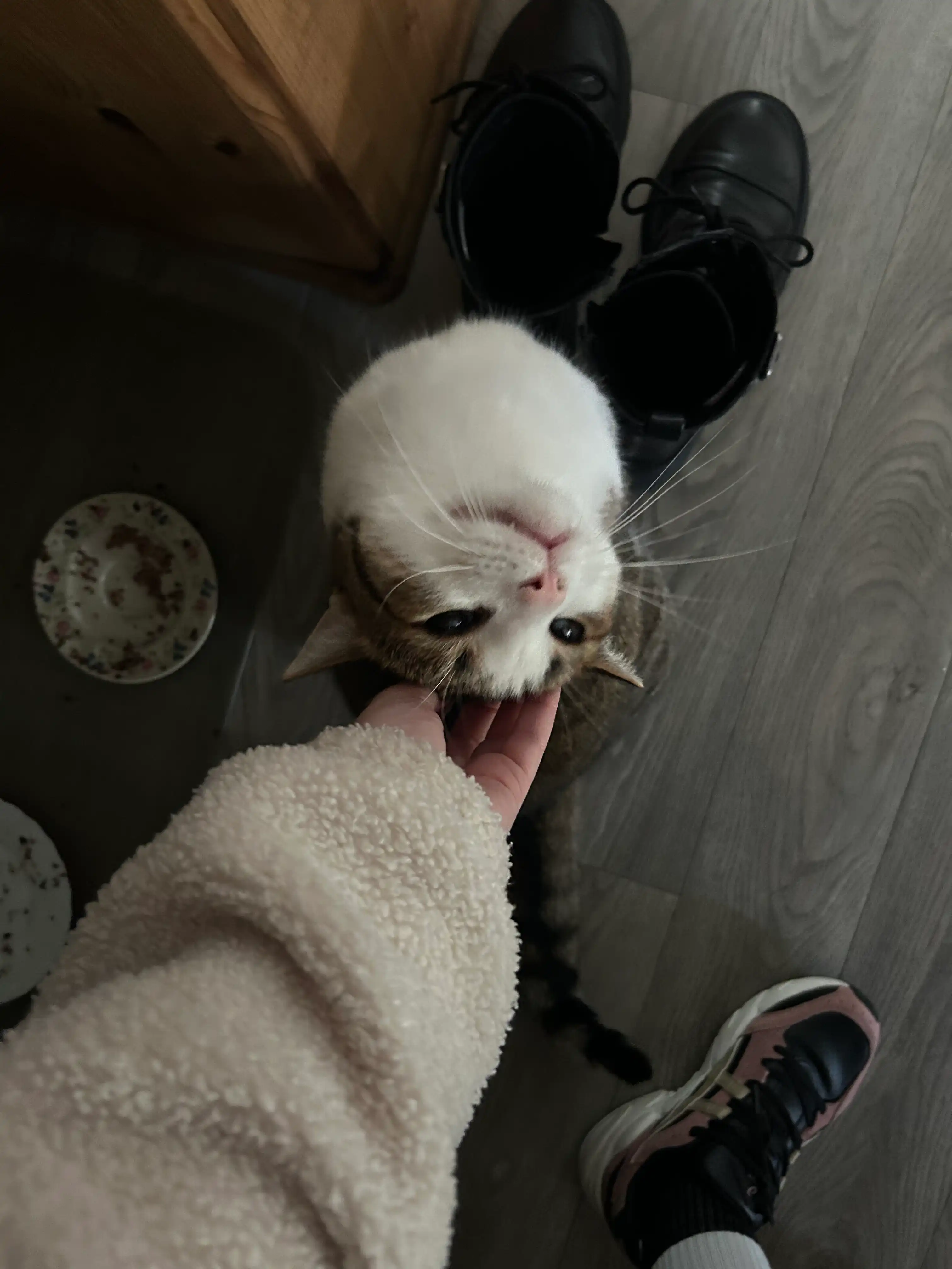 image-15