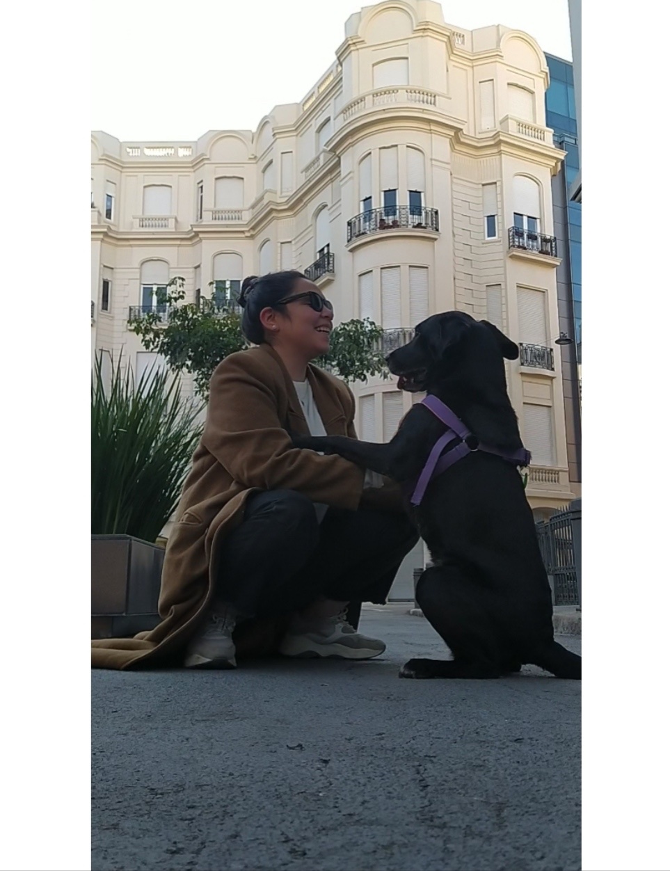 image-14