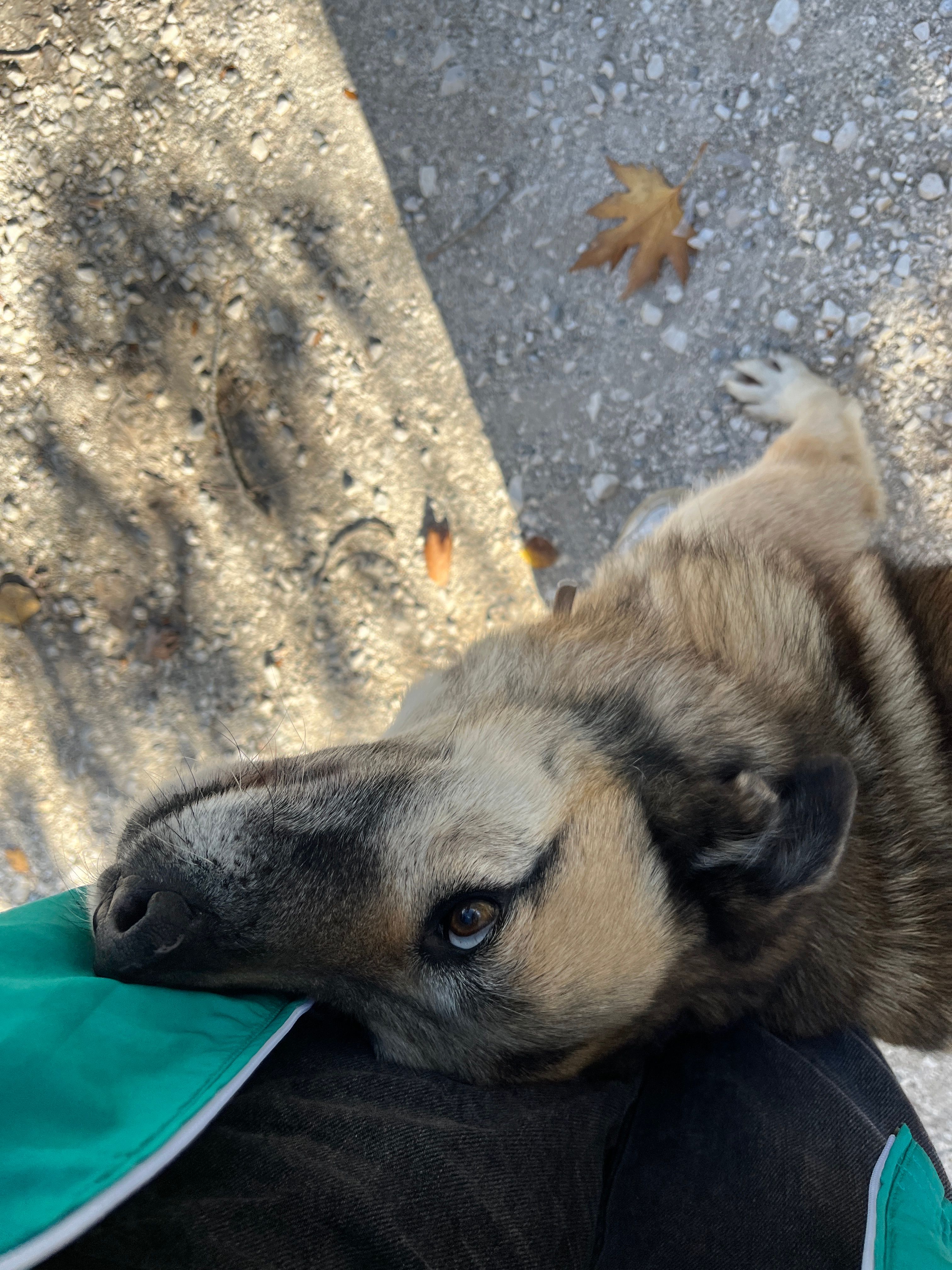 image-6
