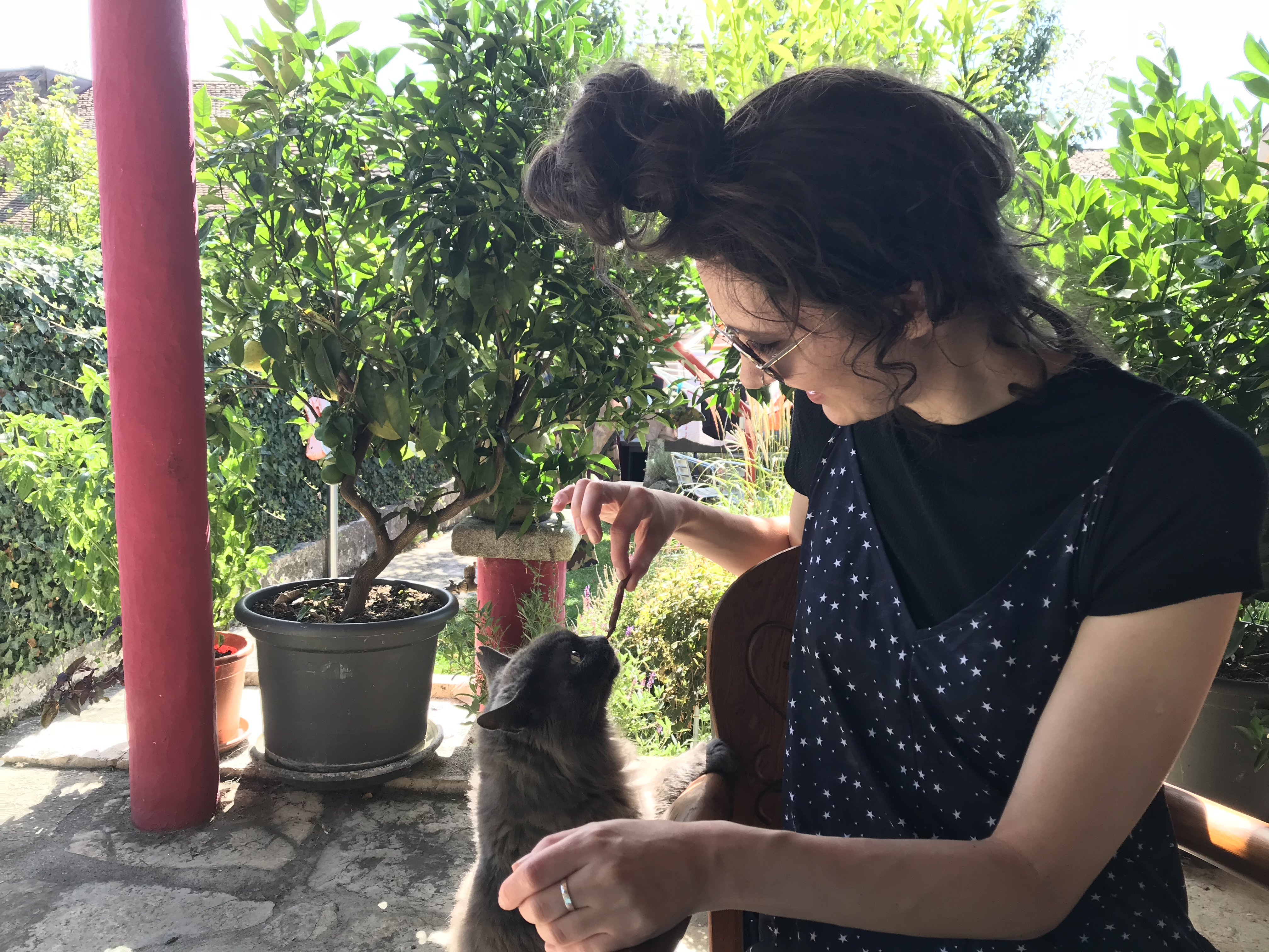 image-6