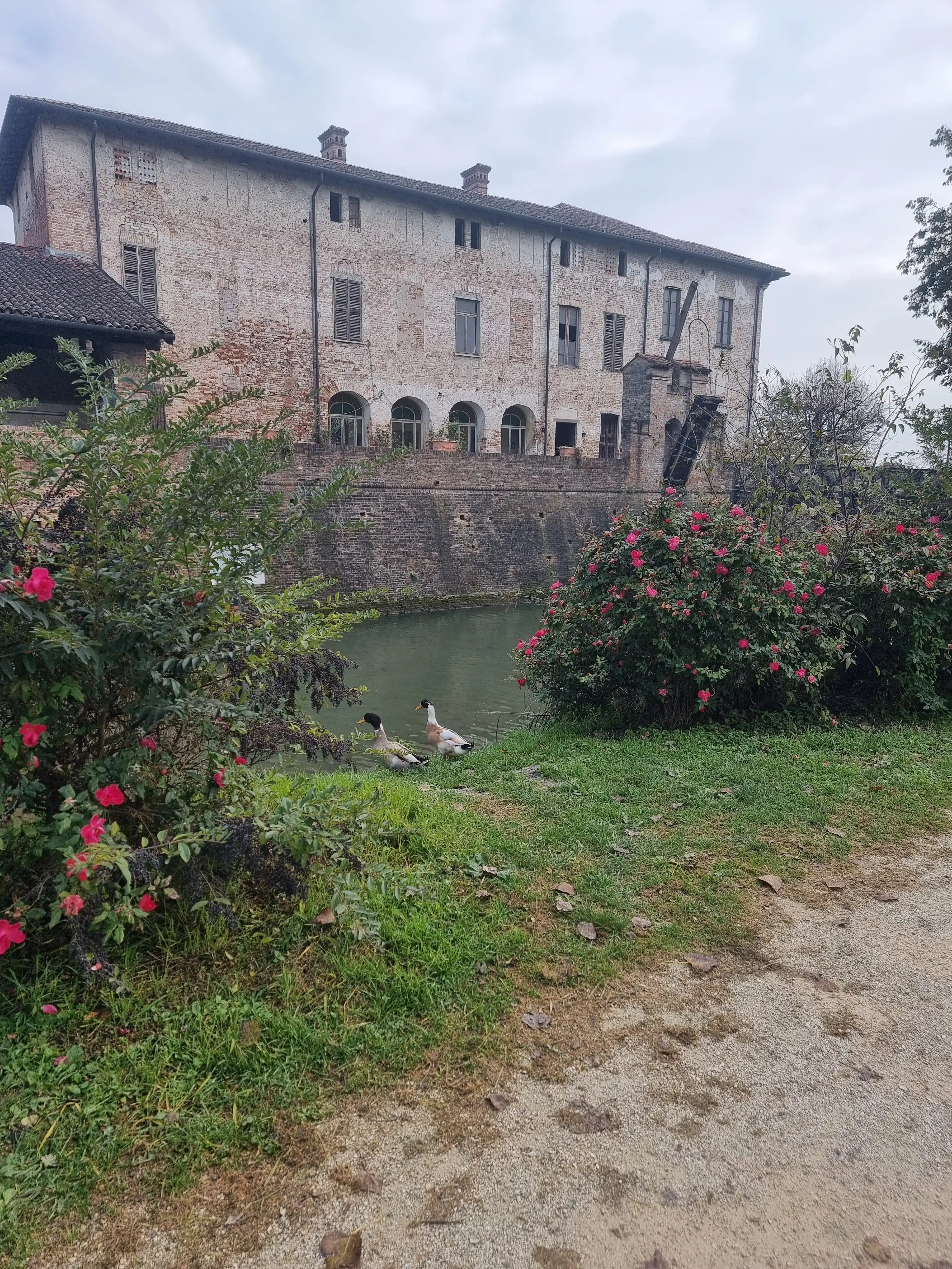 image-16