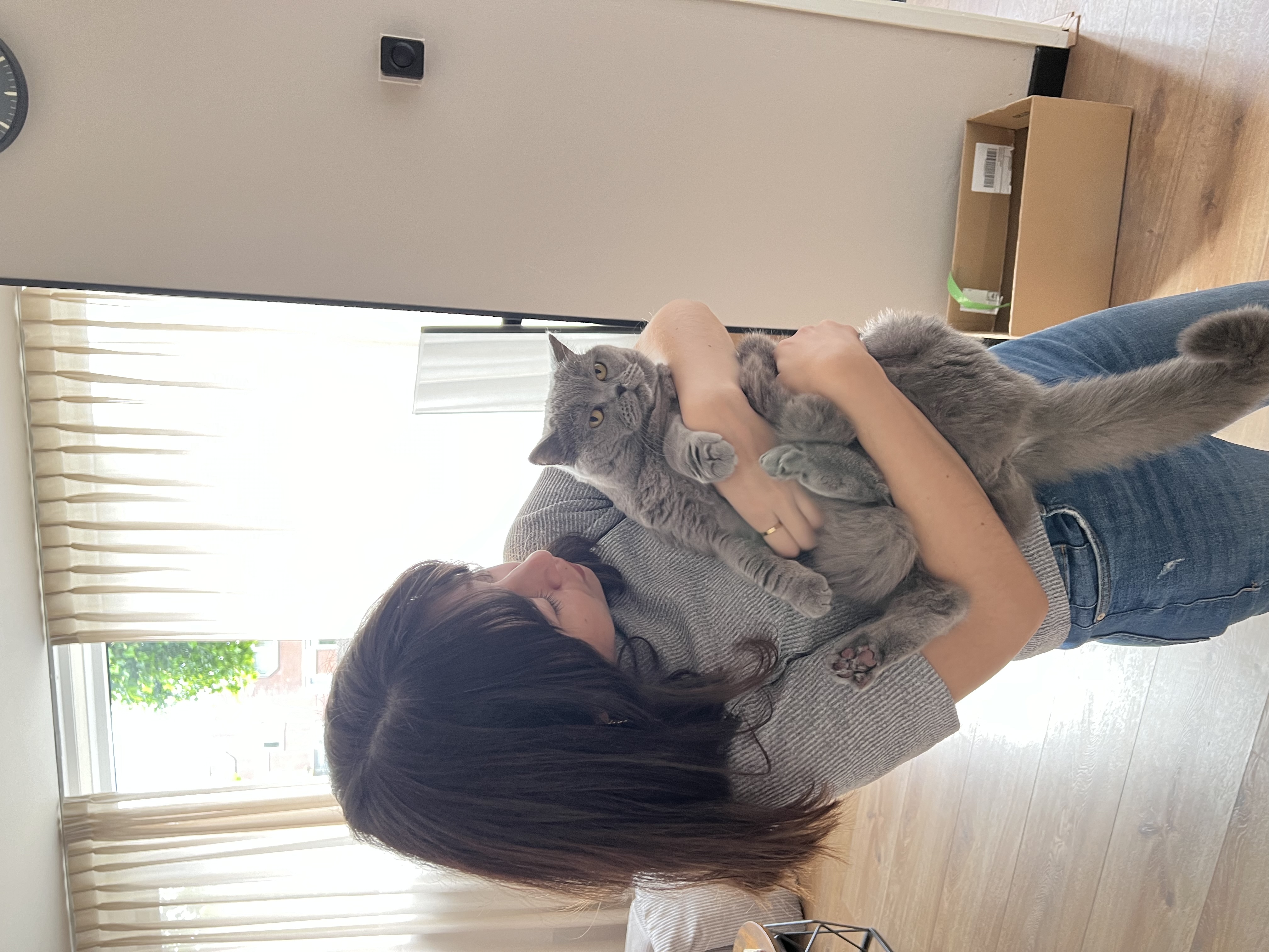 image-5