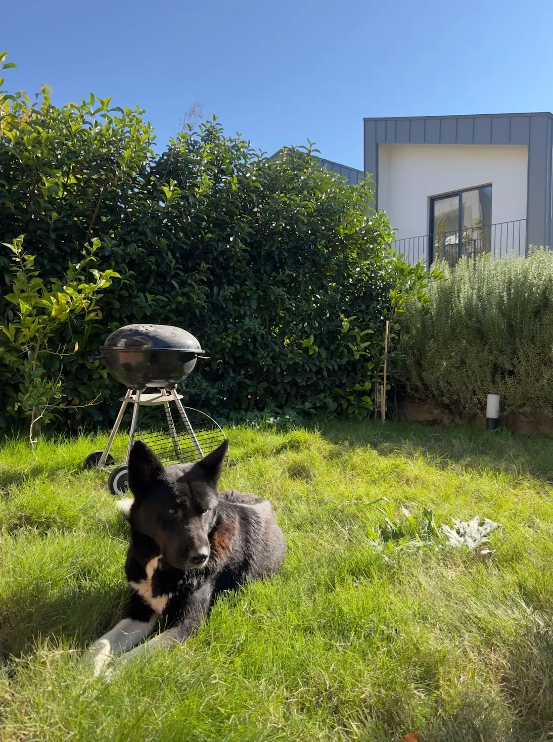 image-5