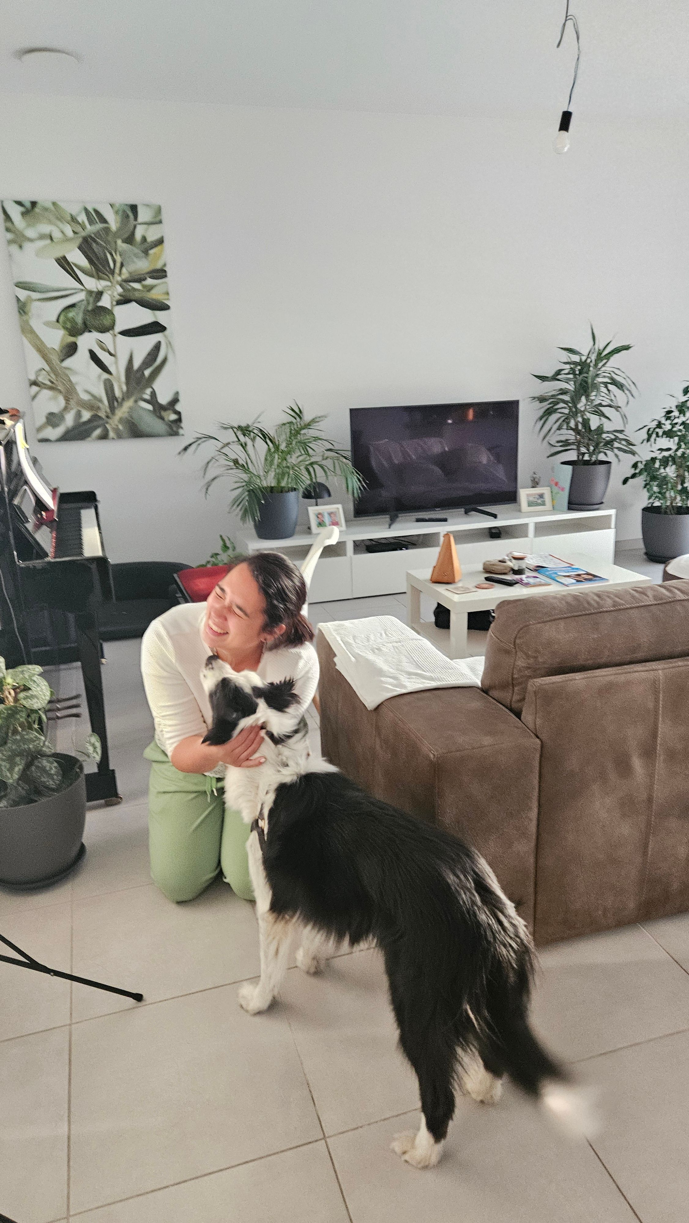 image-6