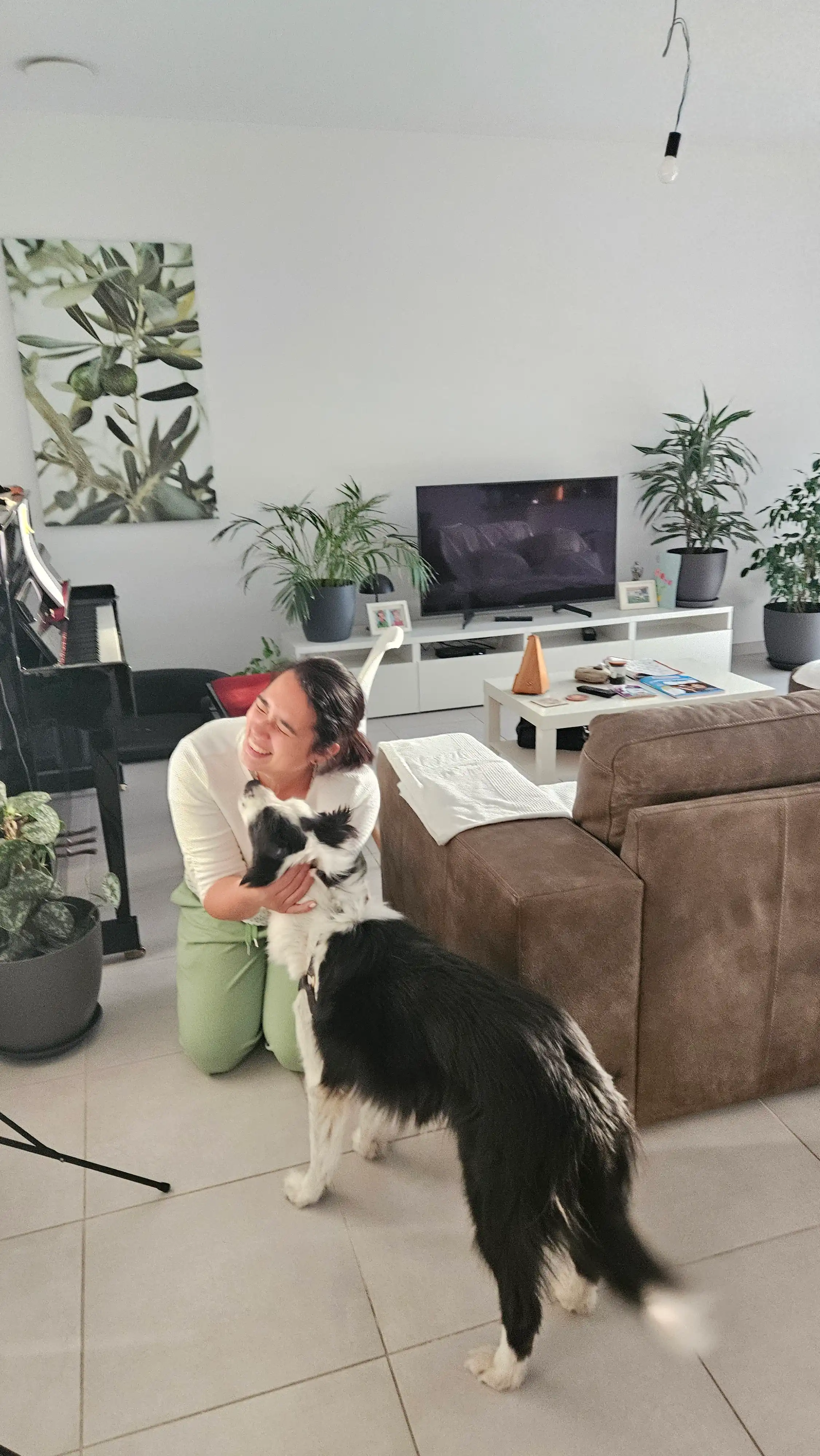 image-6