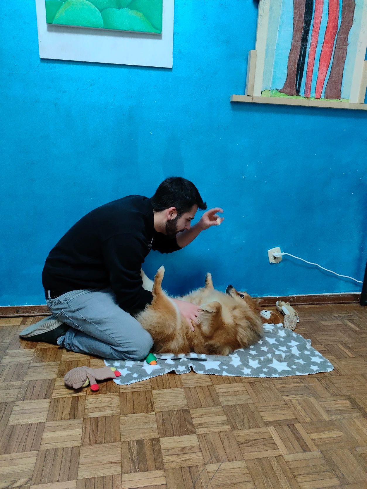 image-6