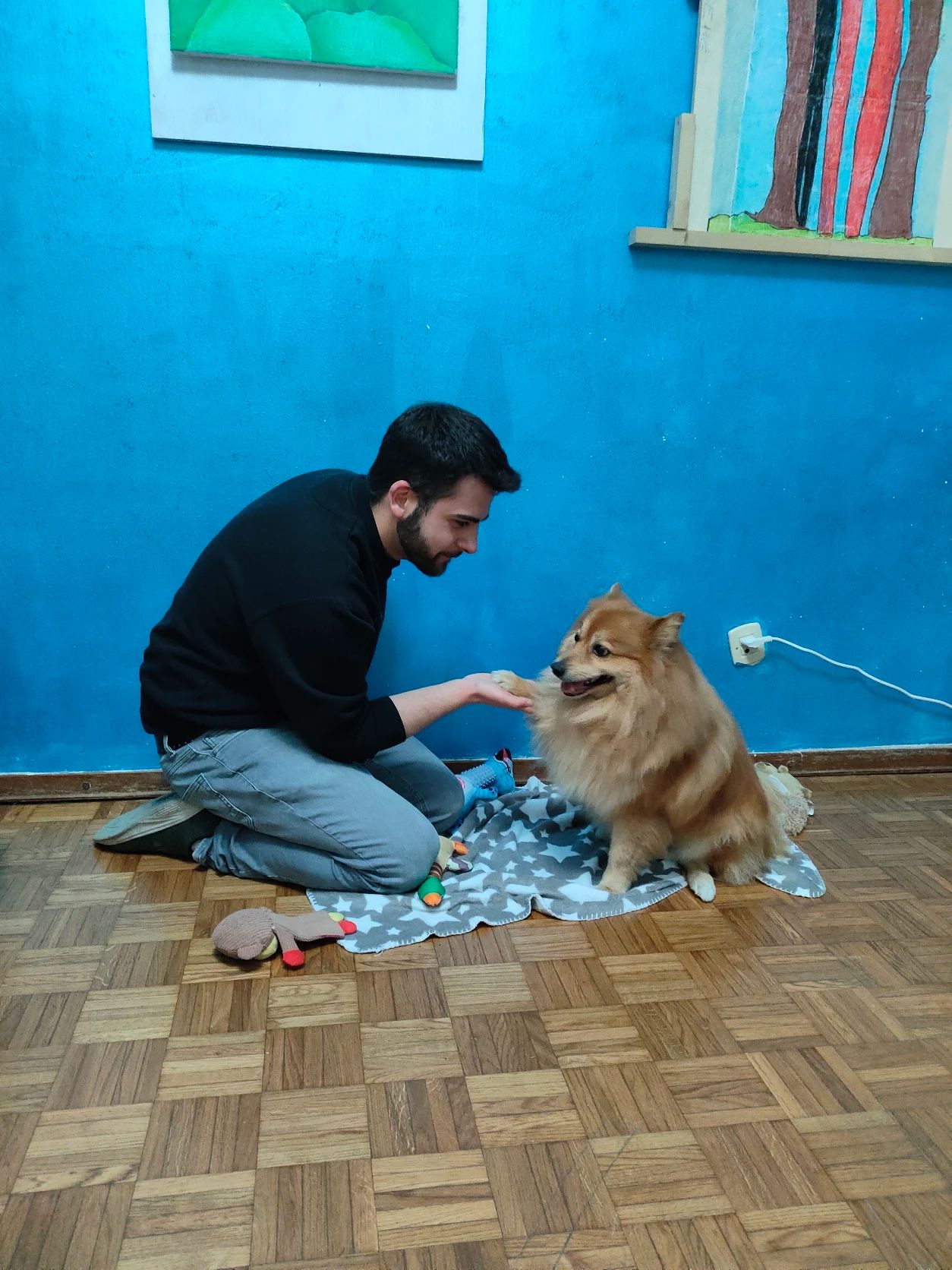 image-7