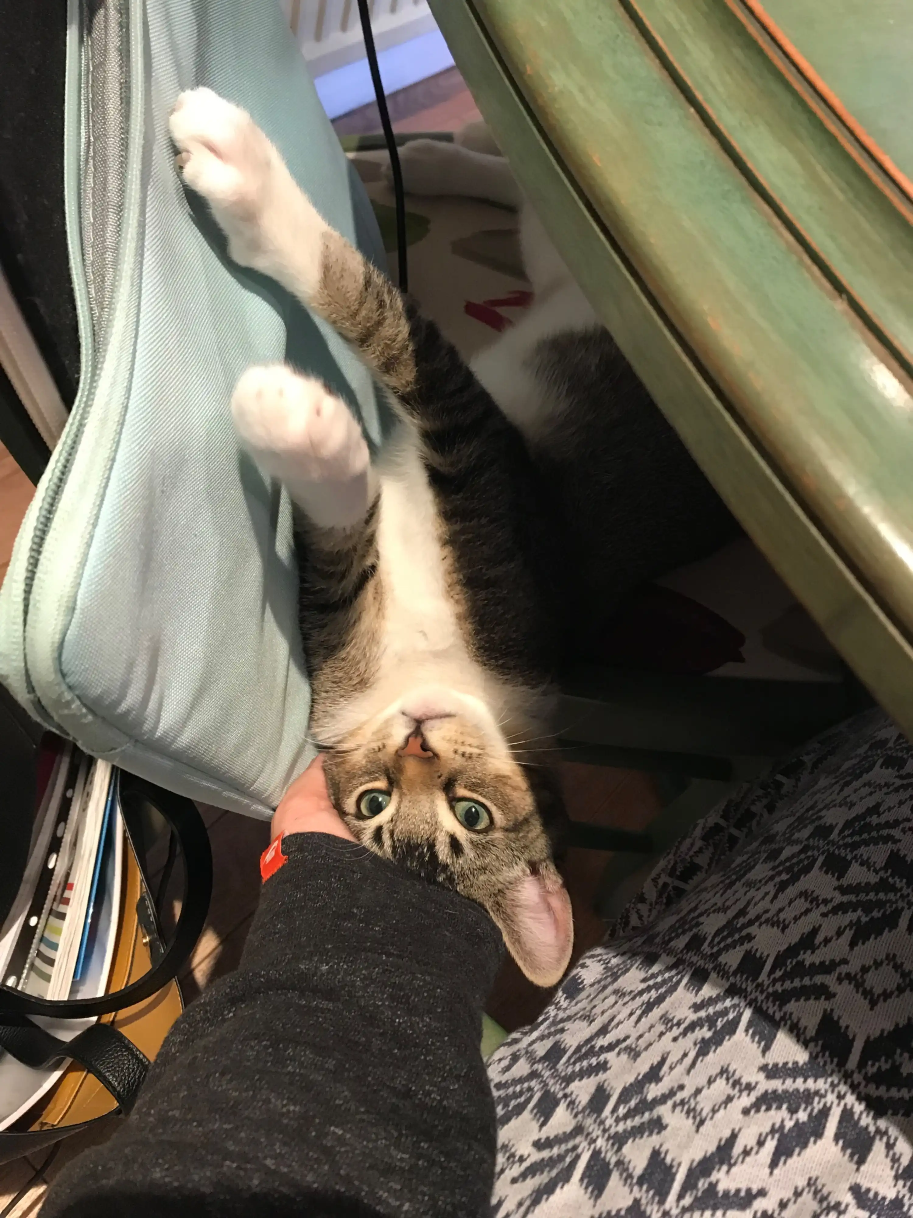 image-6