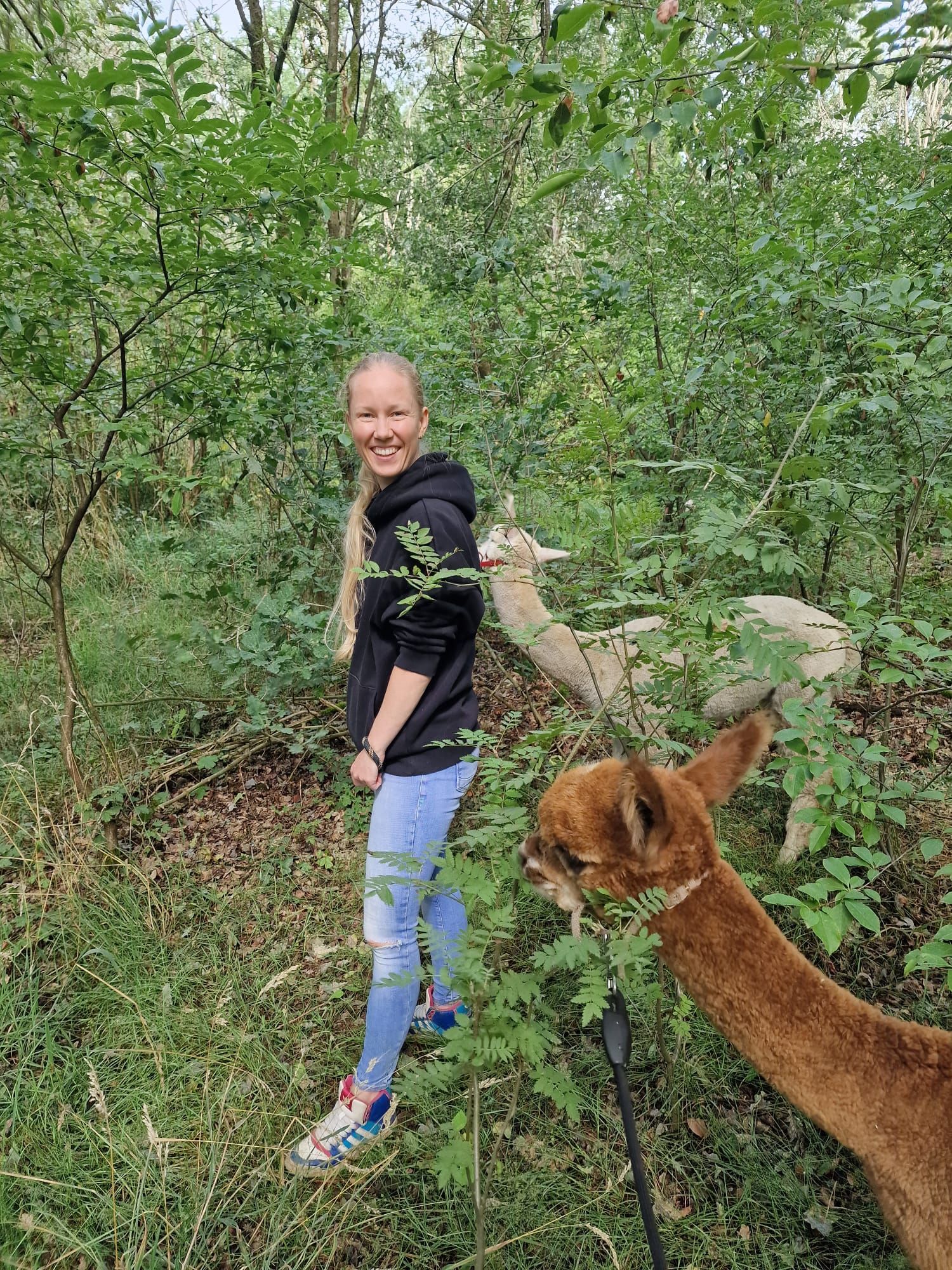 image-12