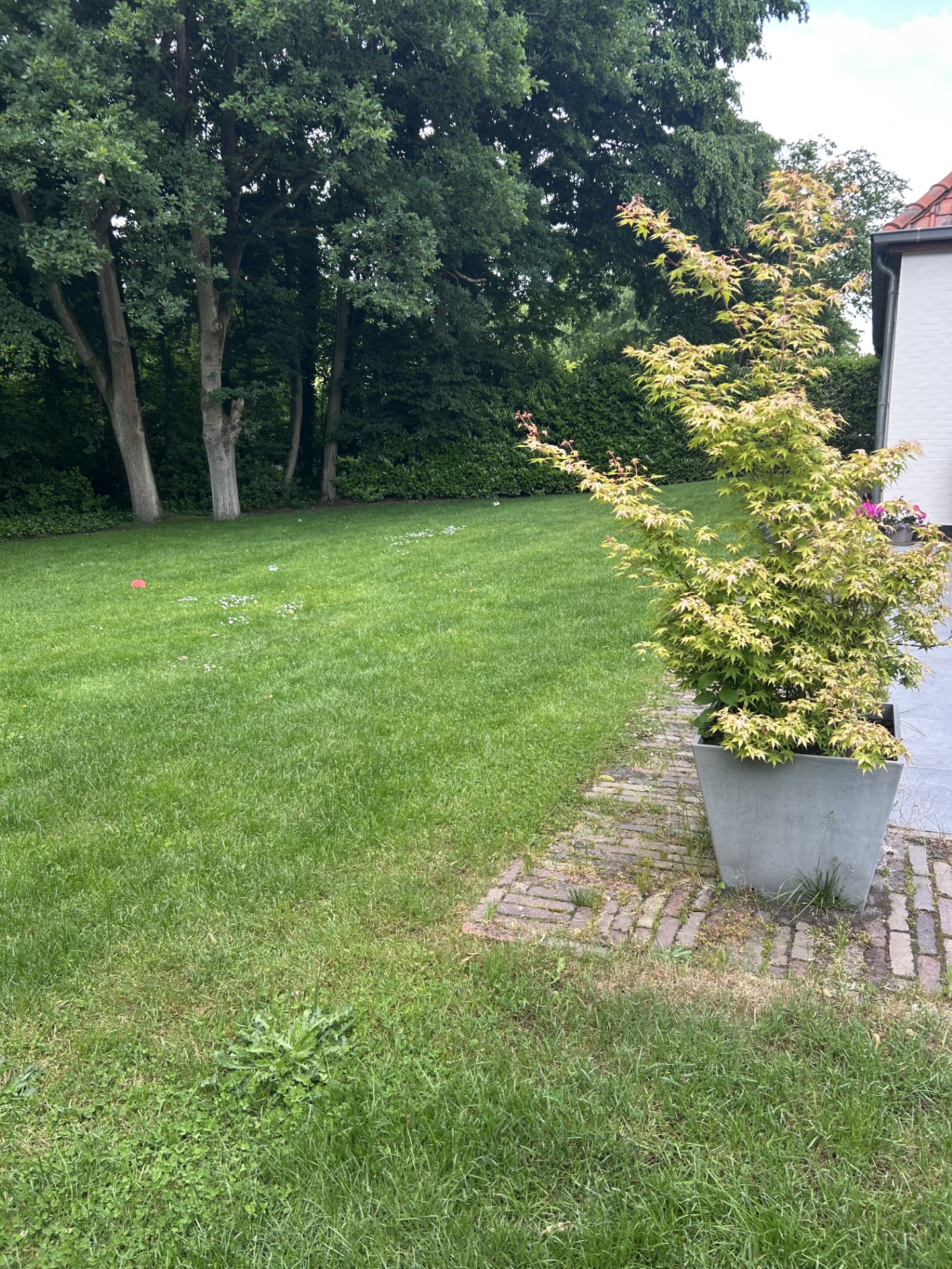 image-23
