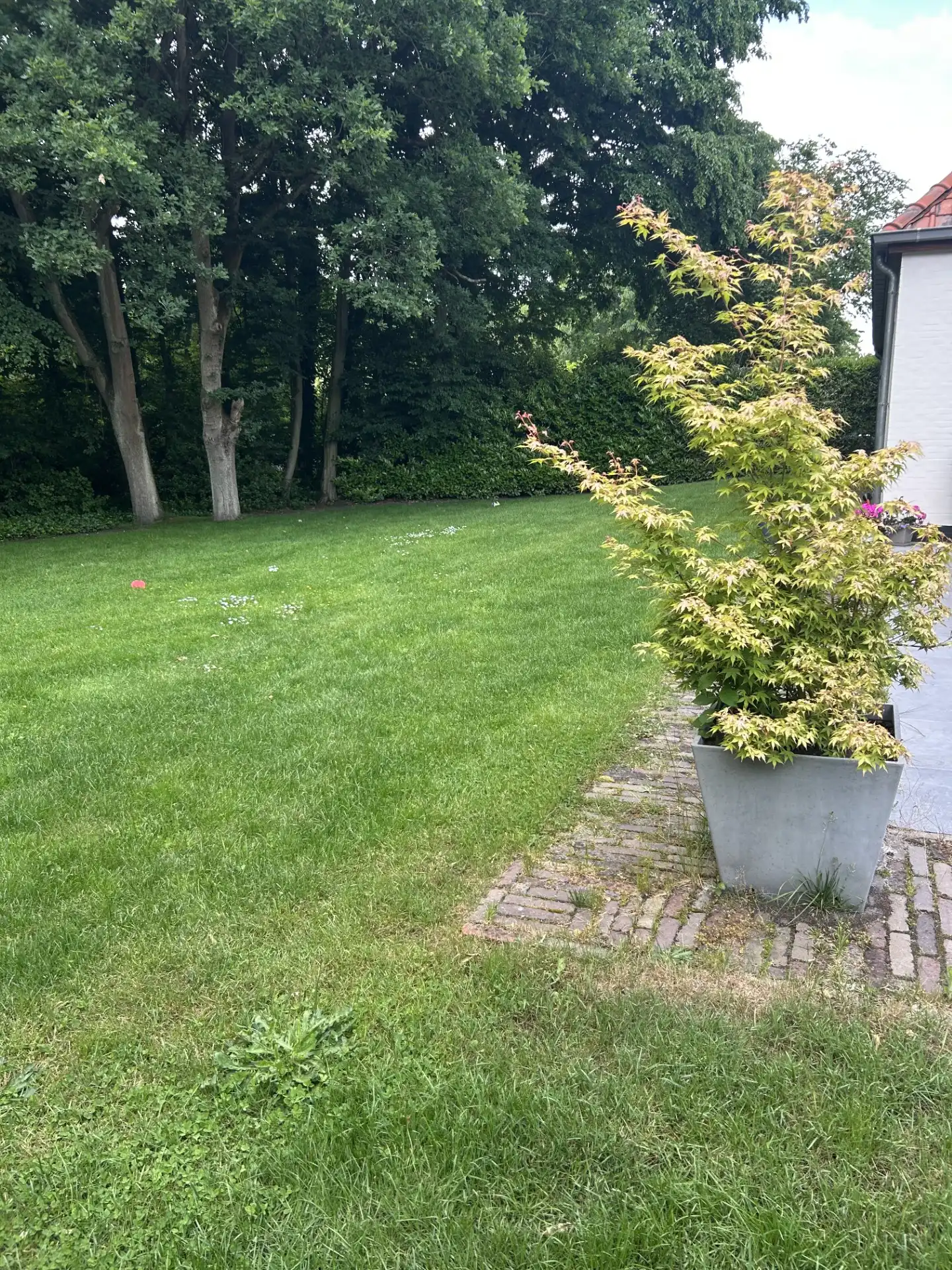 image-23