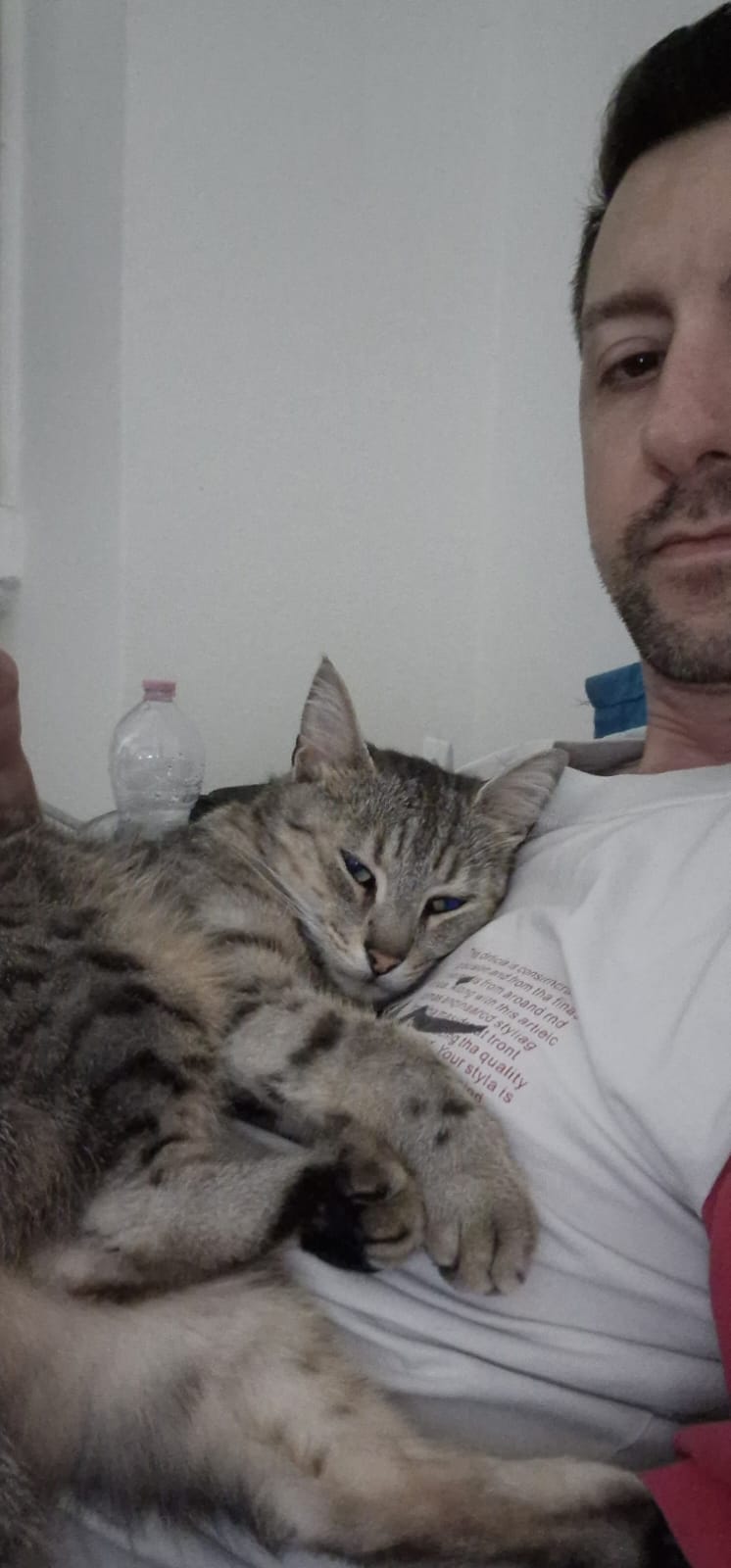 image-5