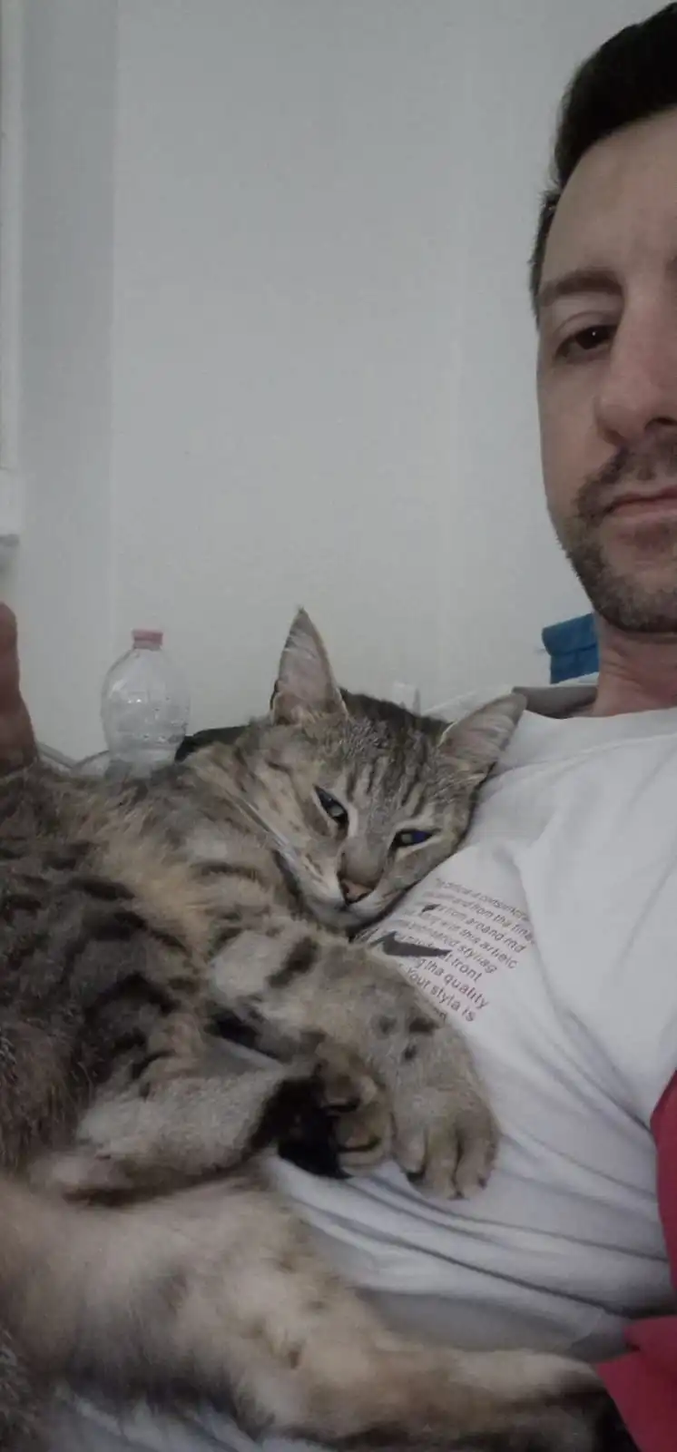 image-5