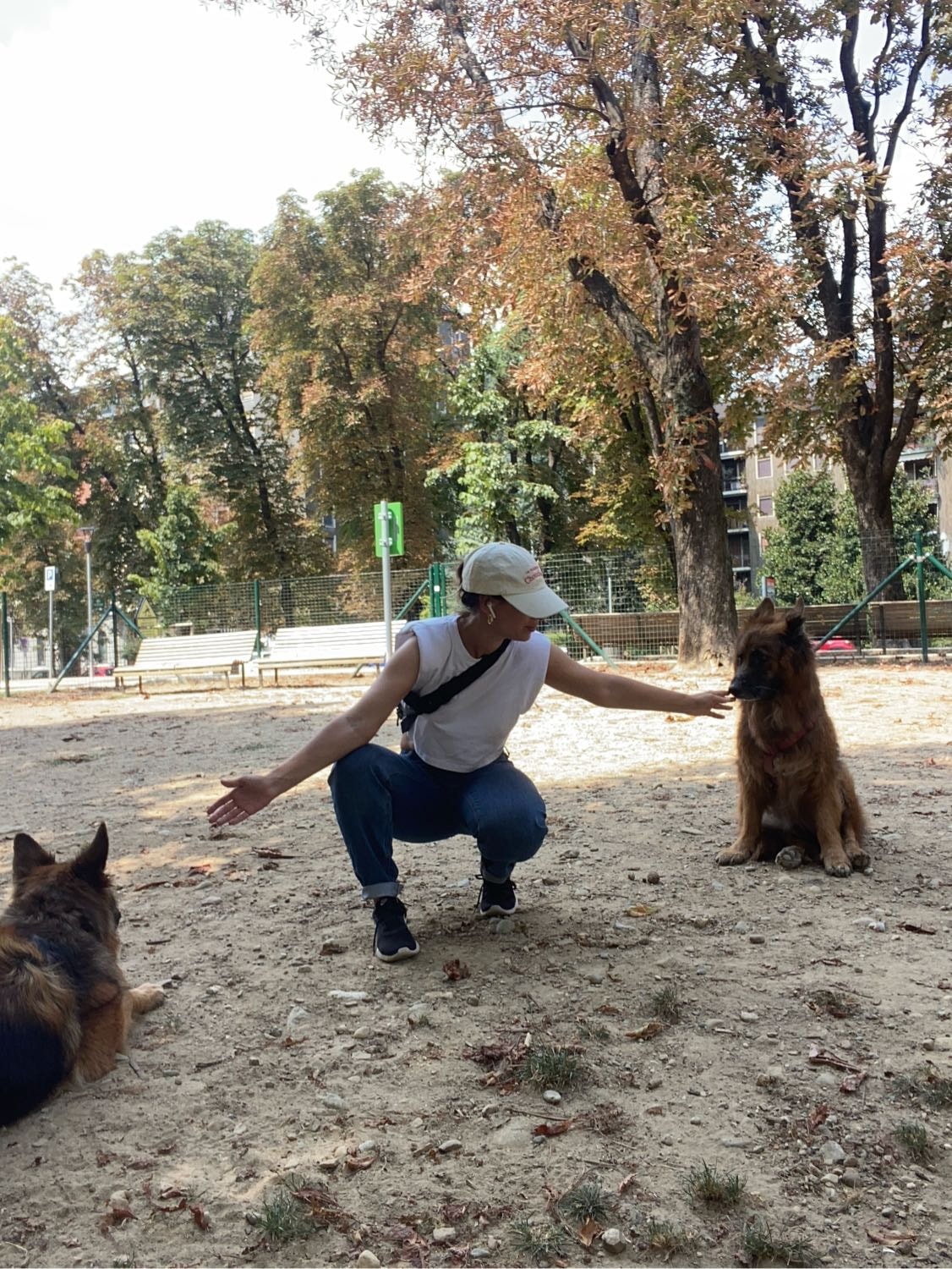 image-14