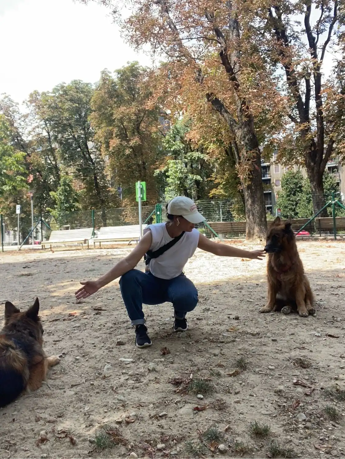 image-14