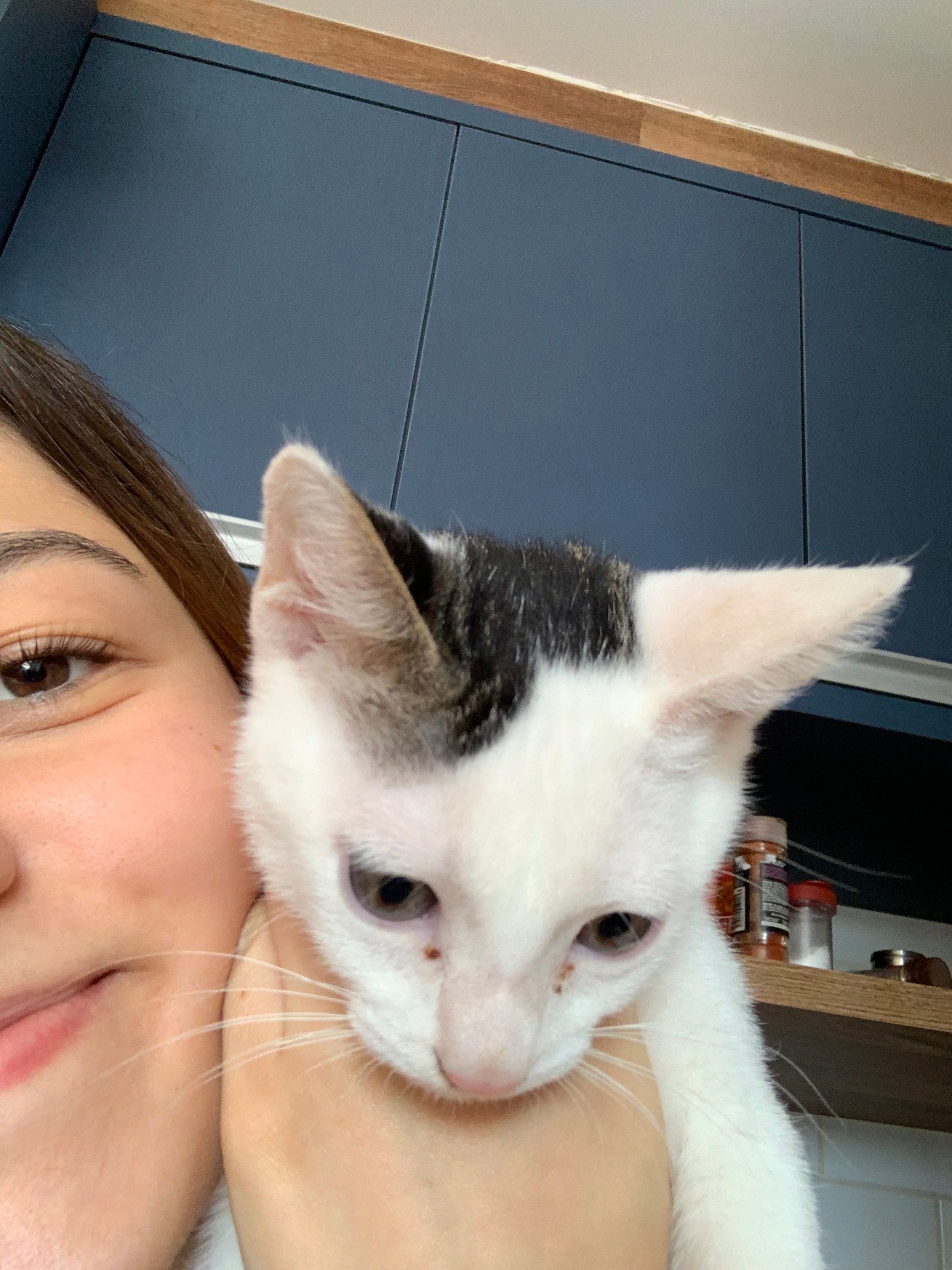 image-6