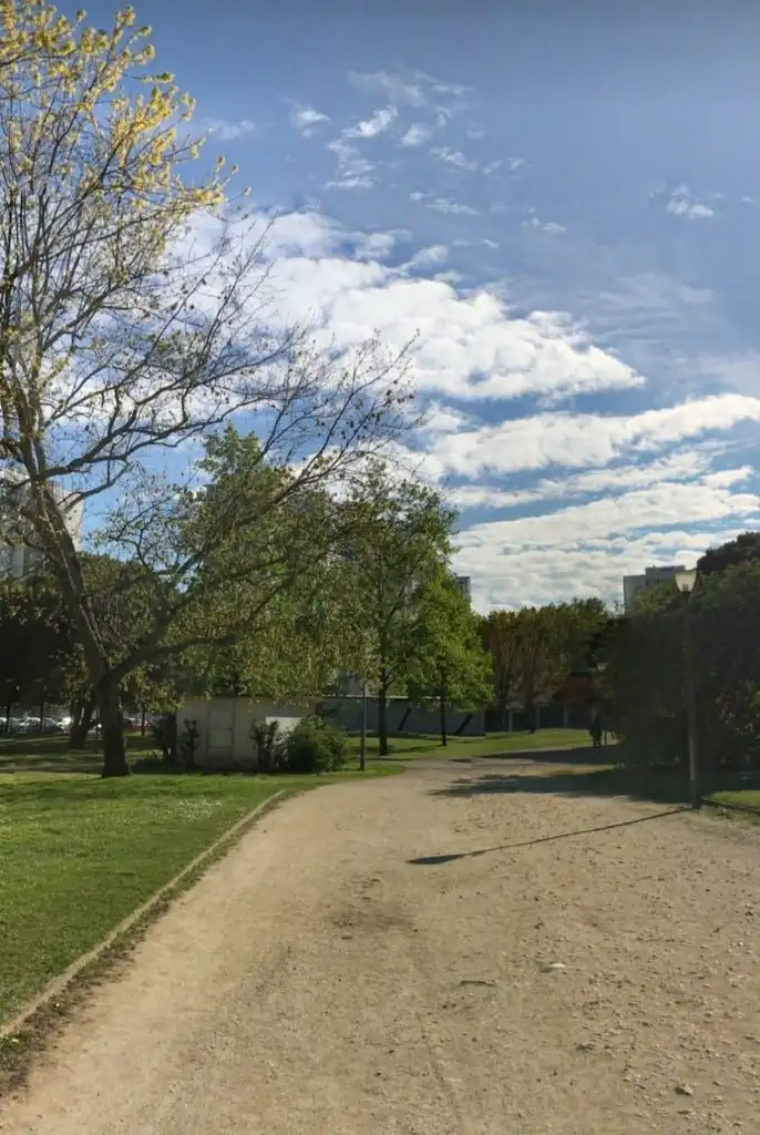 image-19