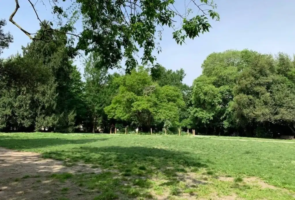 image-20