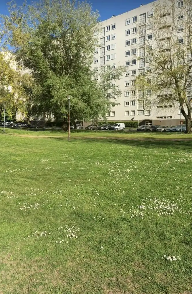 image-18