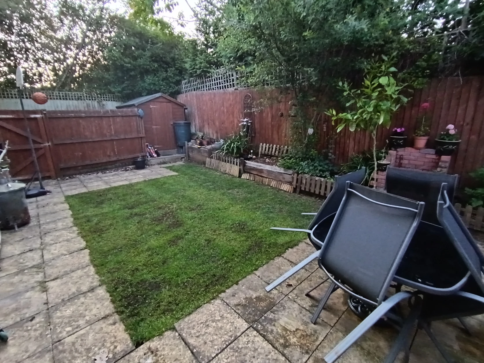 image-12