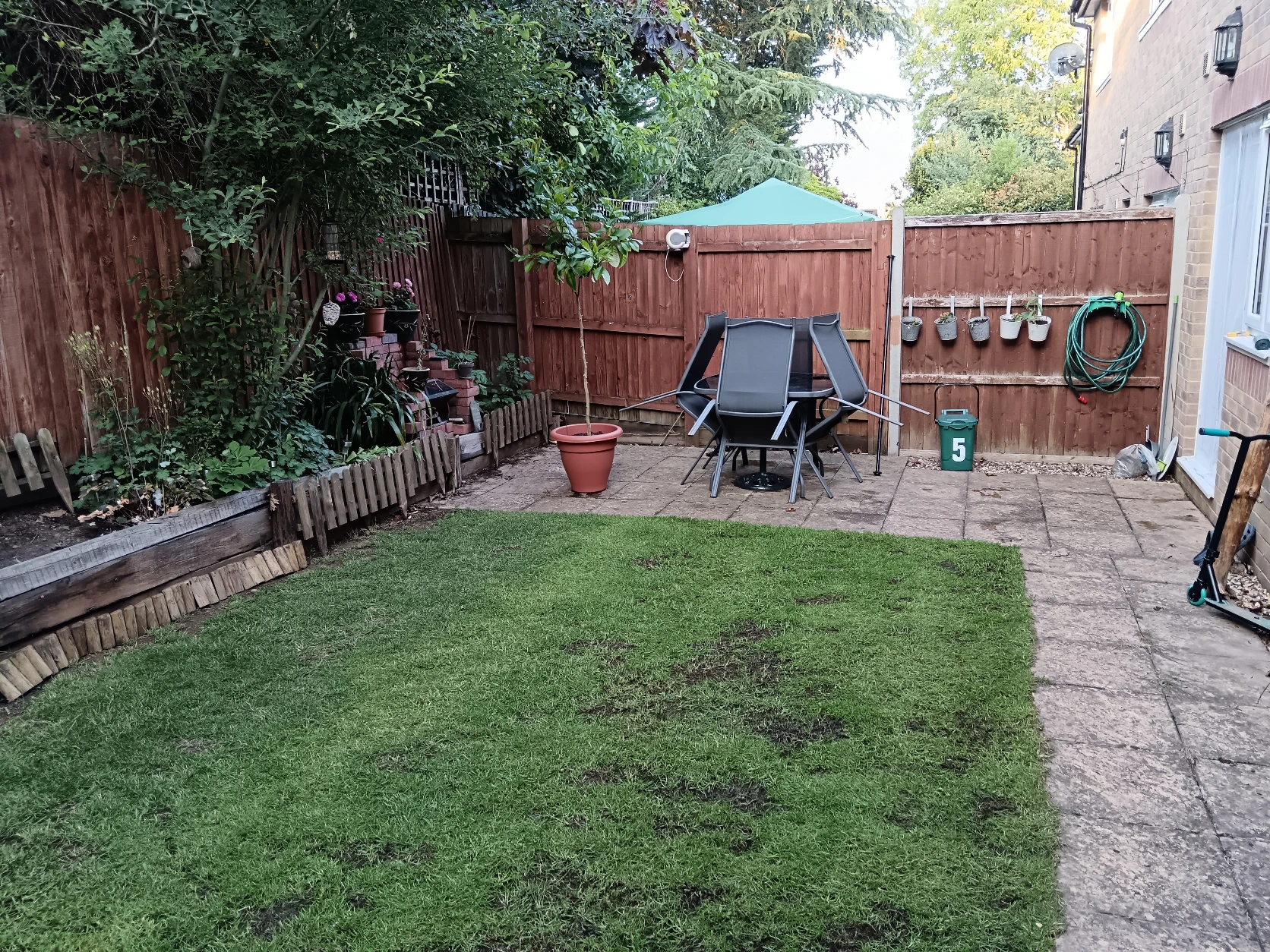 image-11
