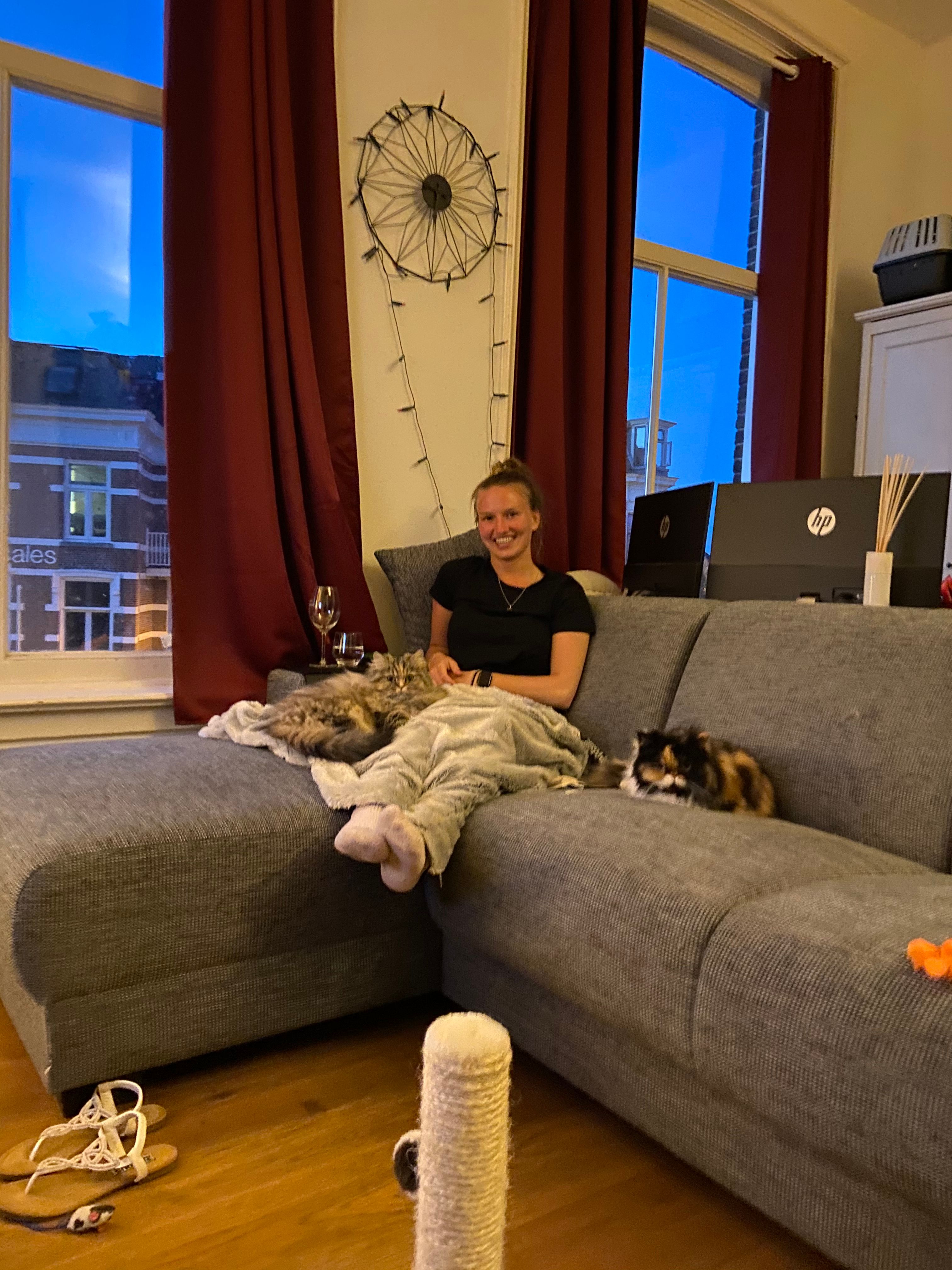 image-13