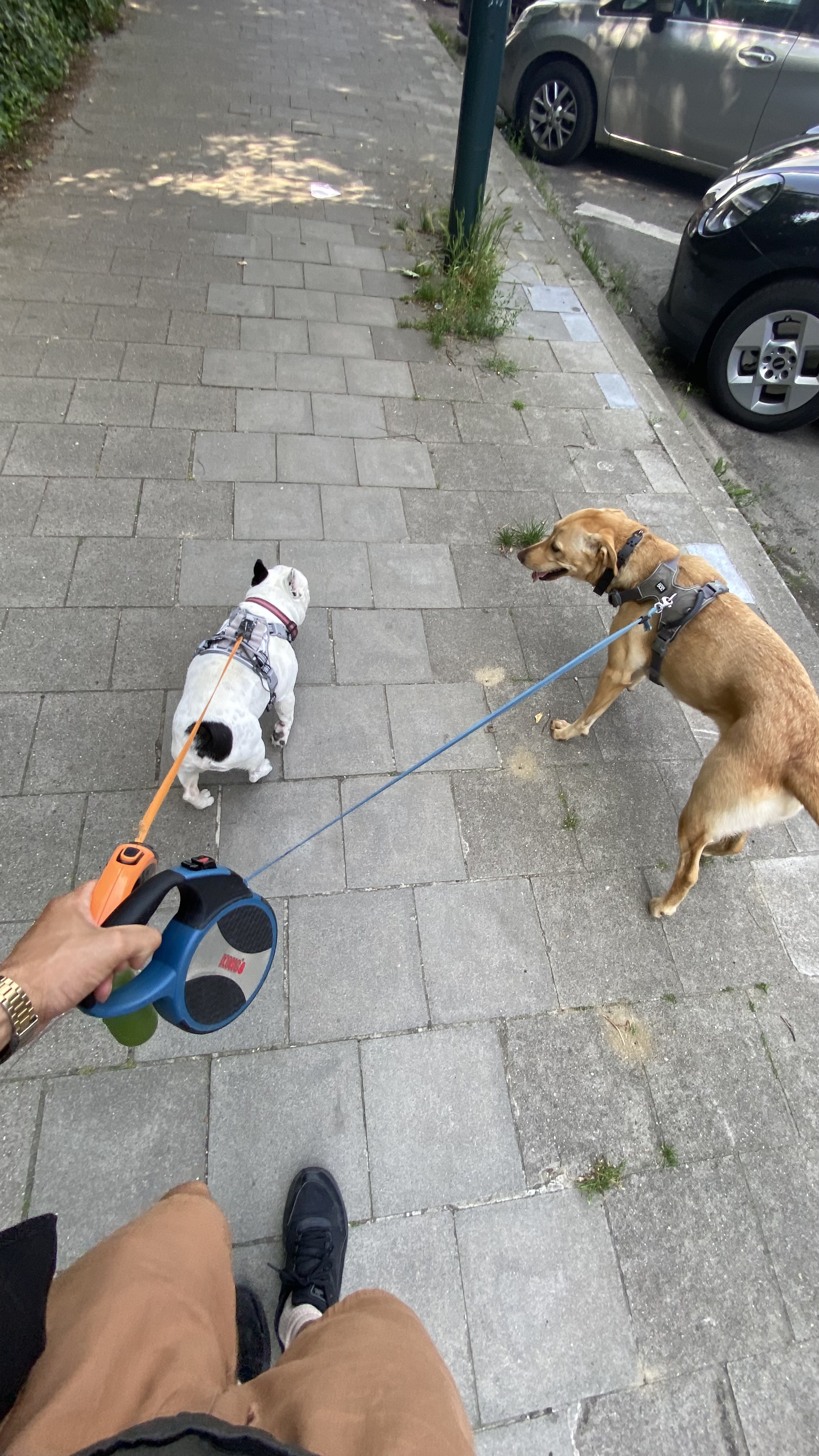 image-28