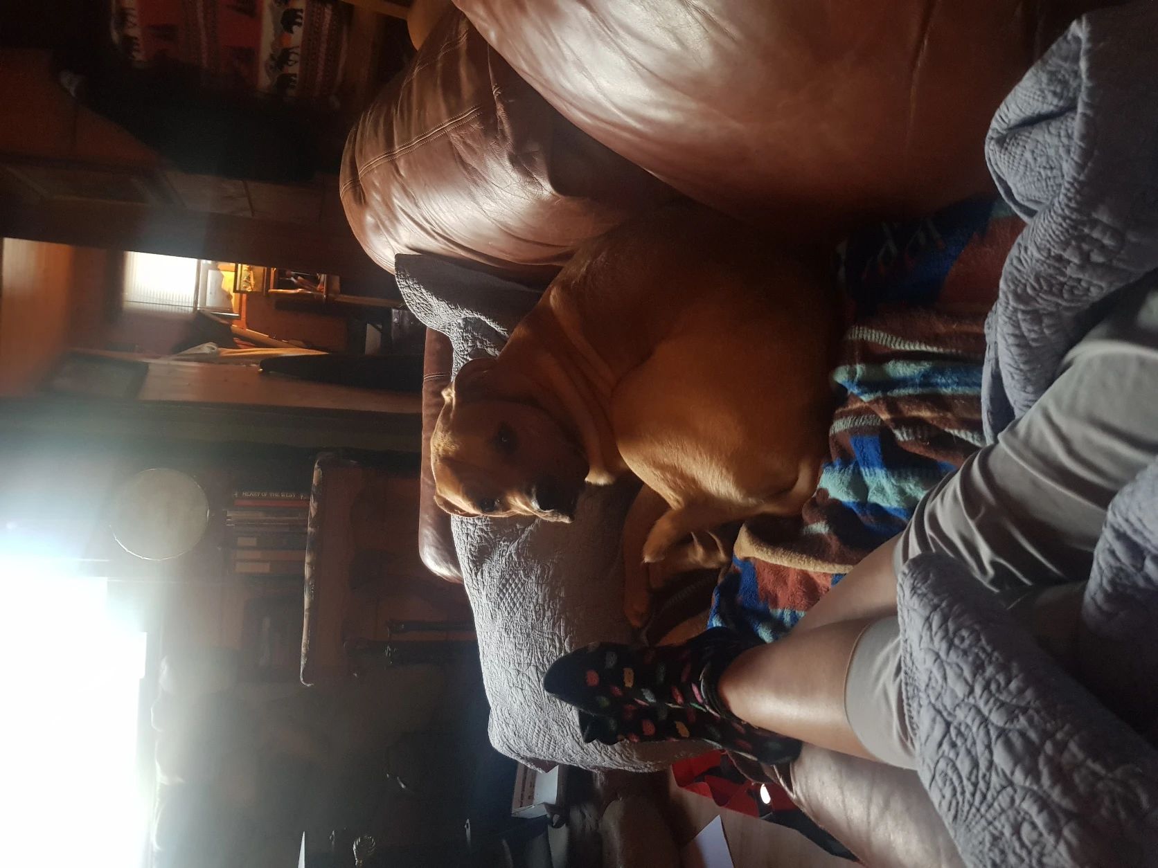 image-6