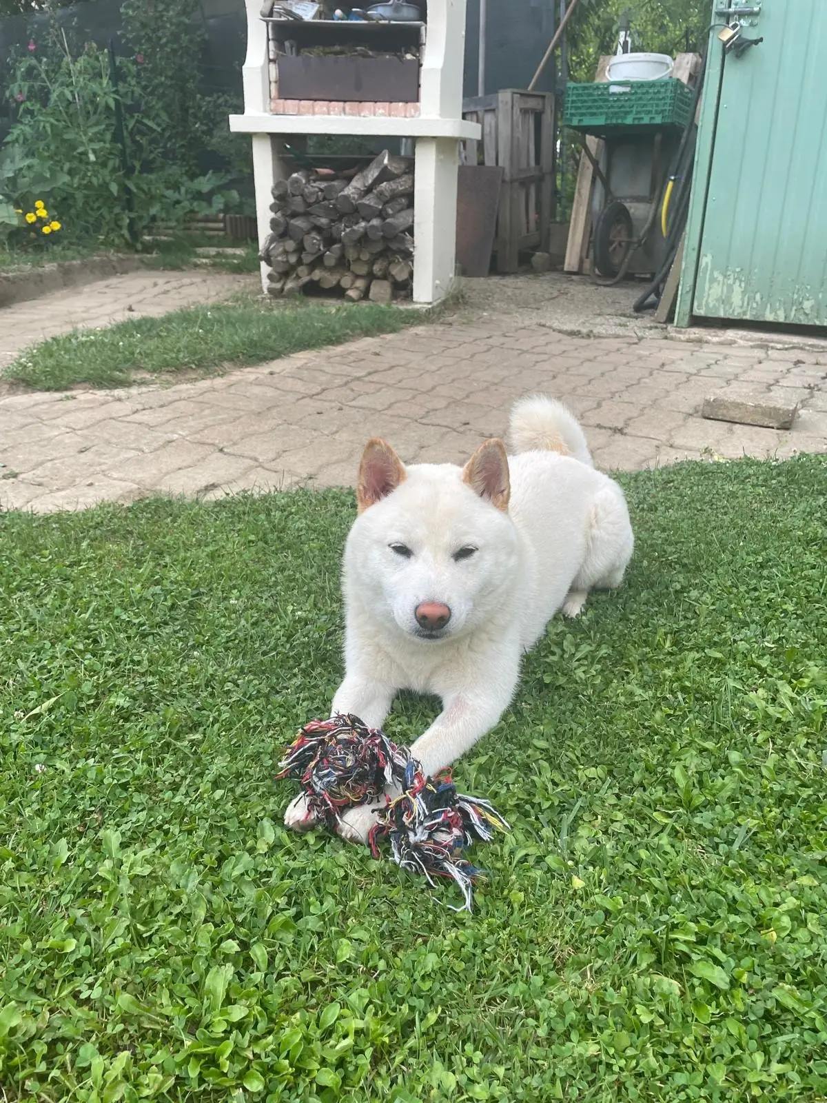 image-2
