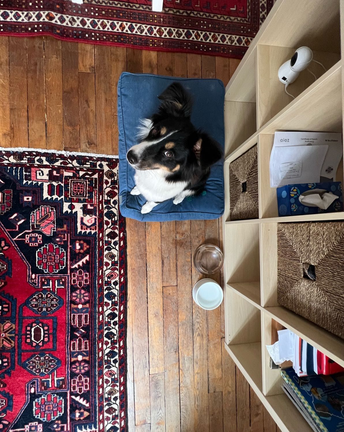 image-10