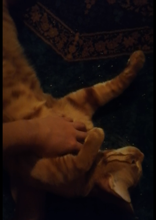 image-7