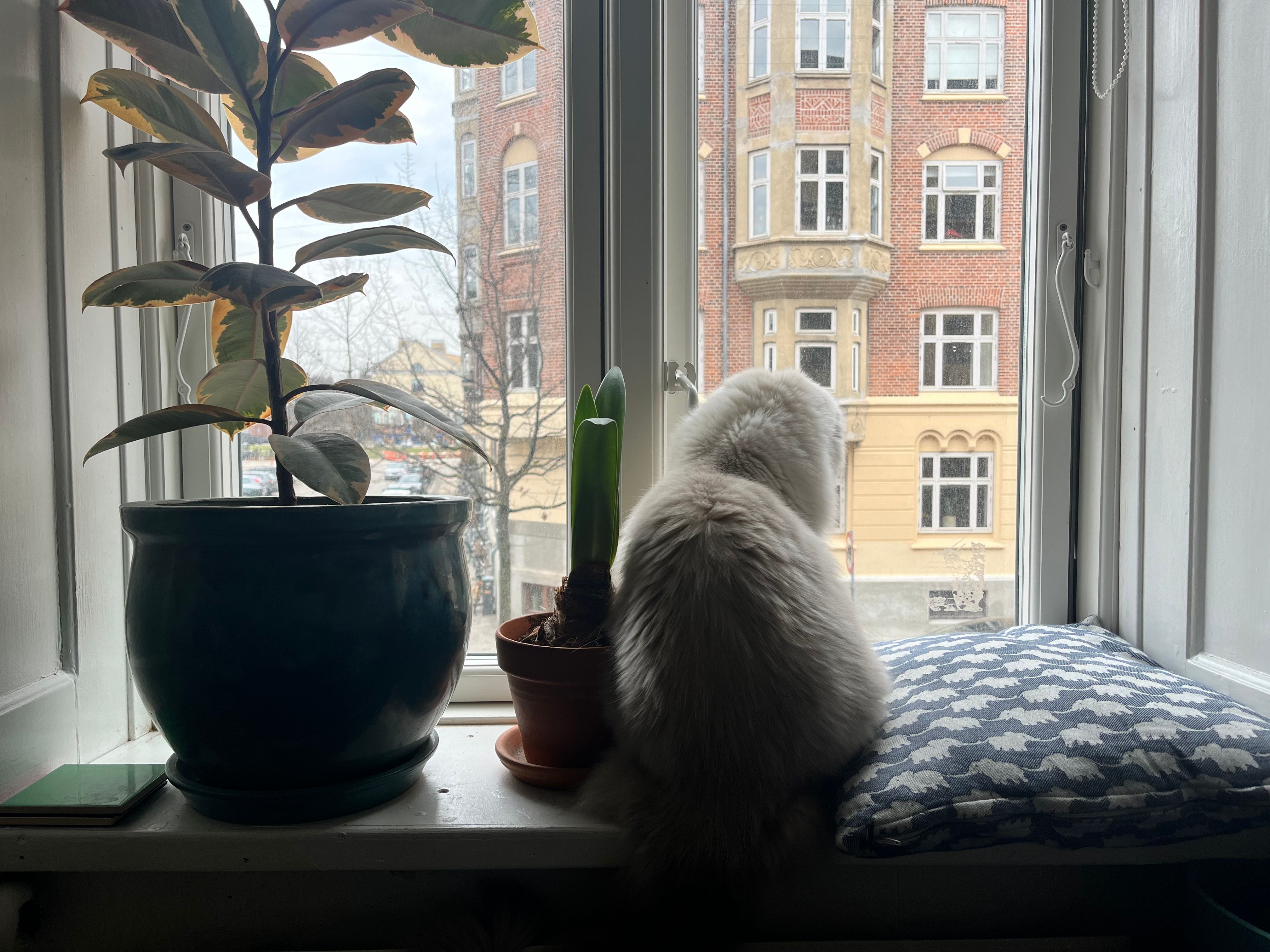 image-11