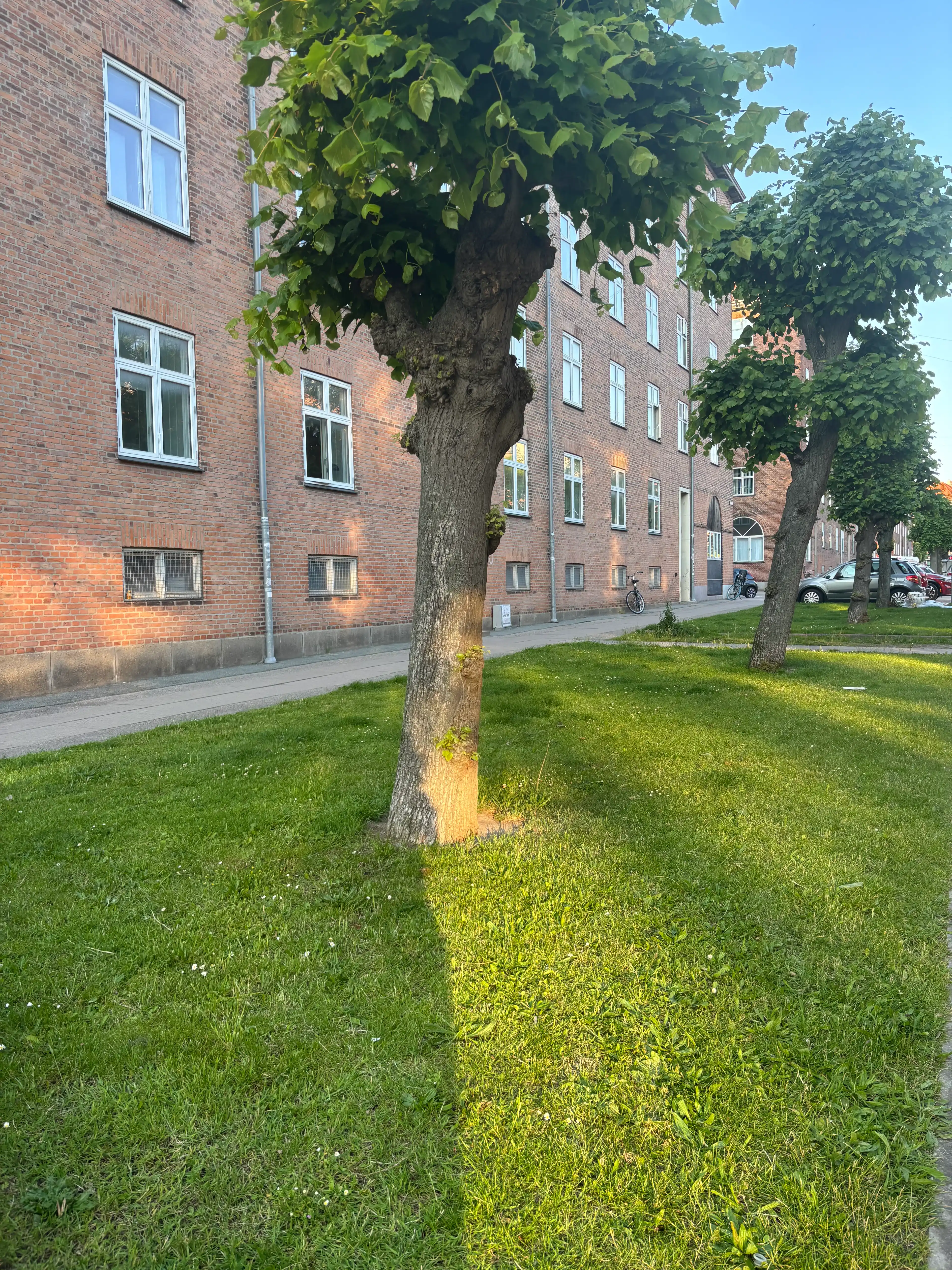 image-22
