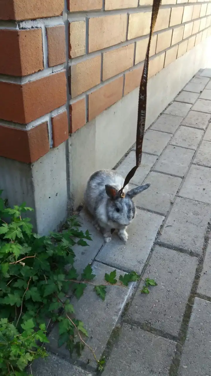 image-6