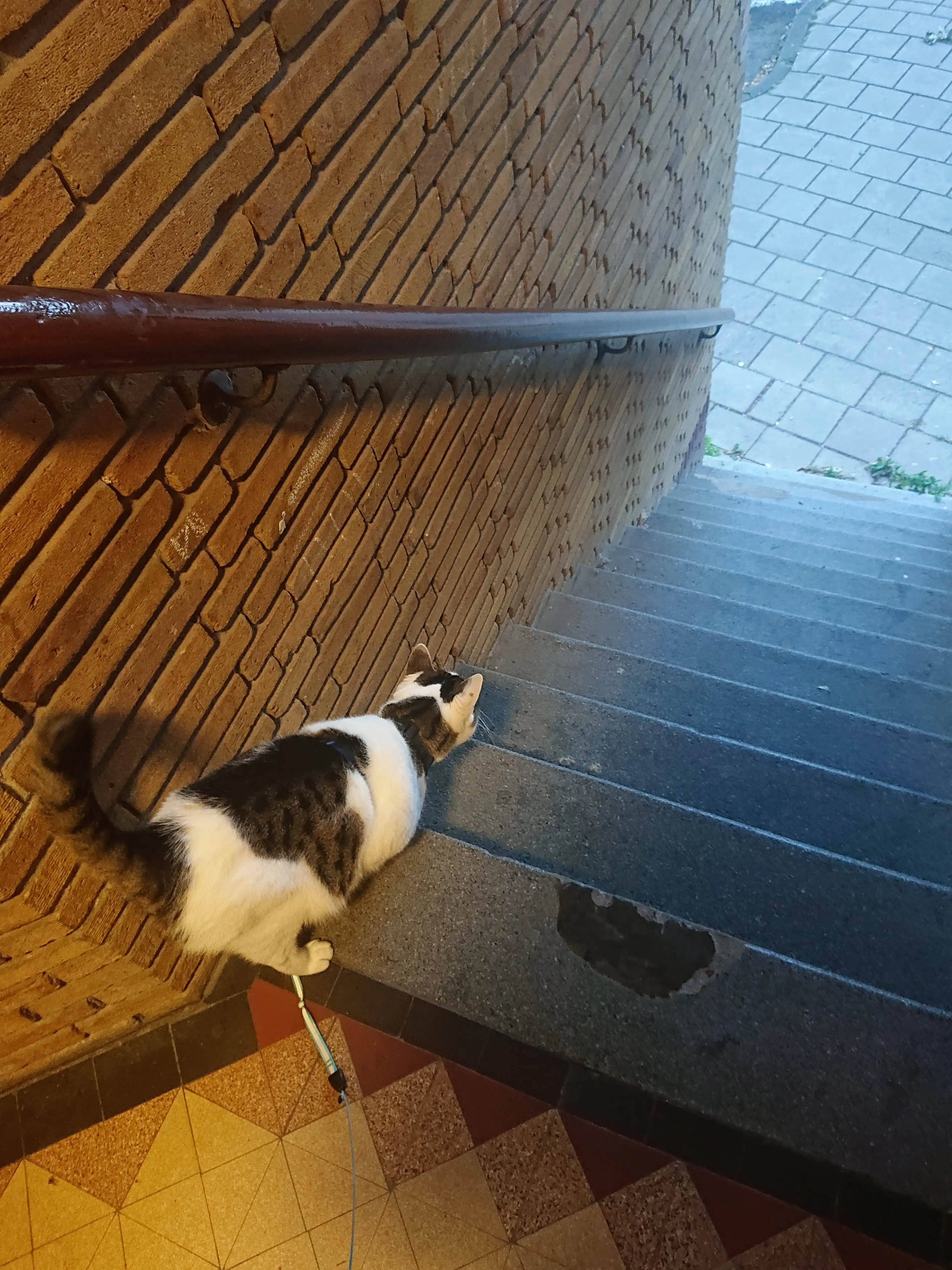 image-10