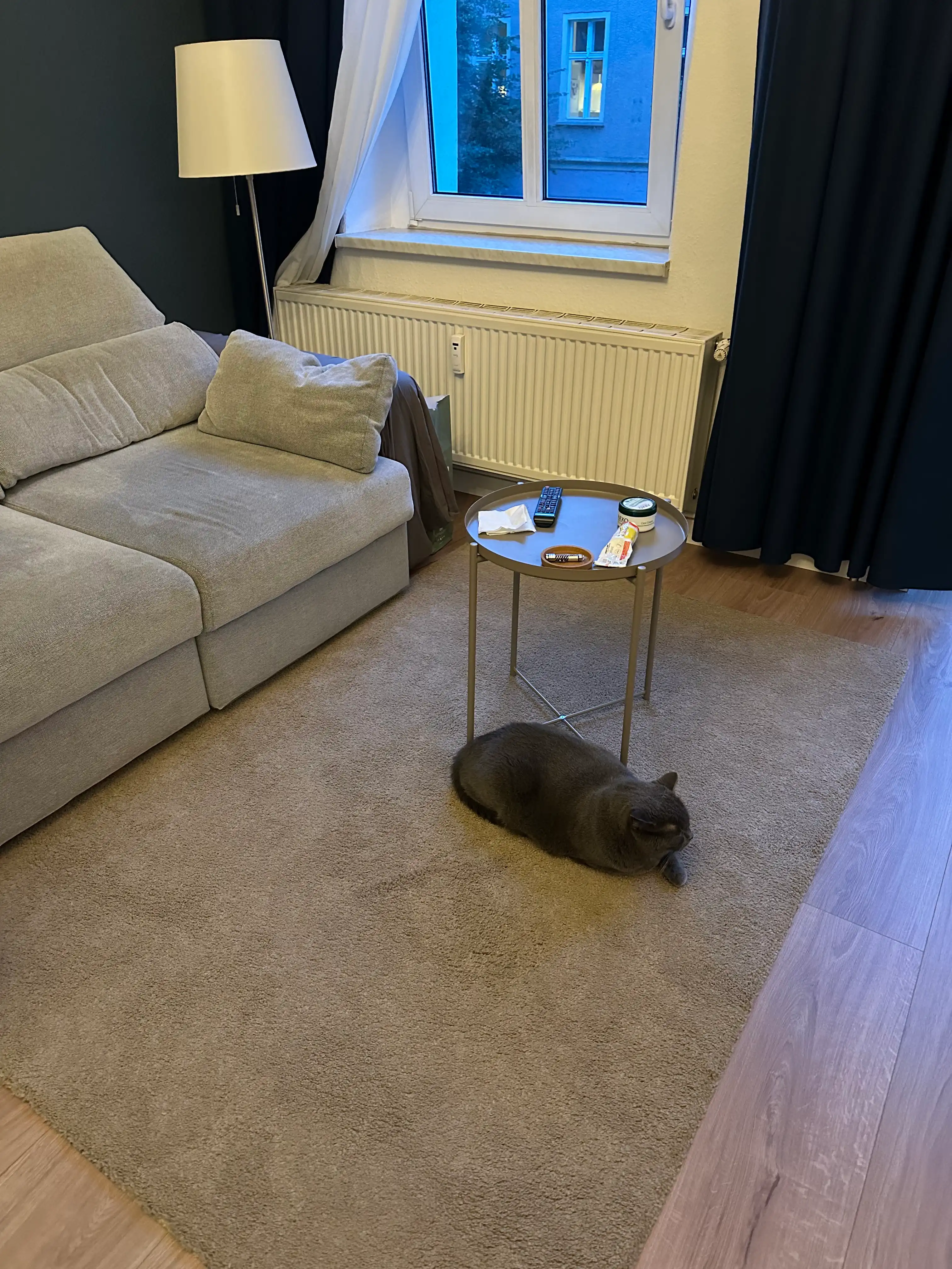 image-12