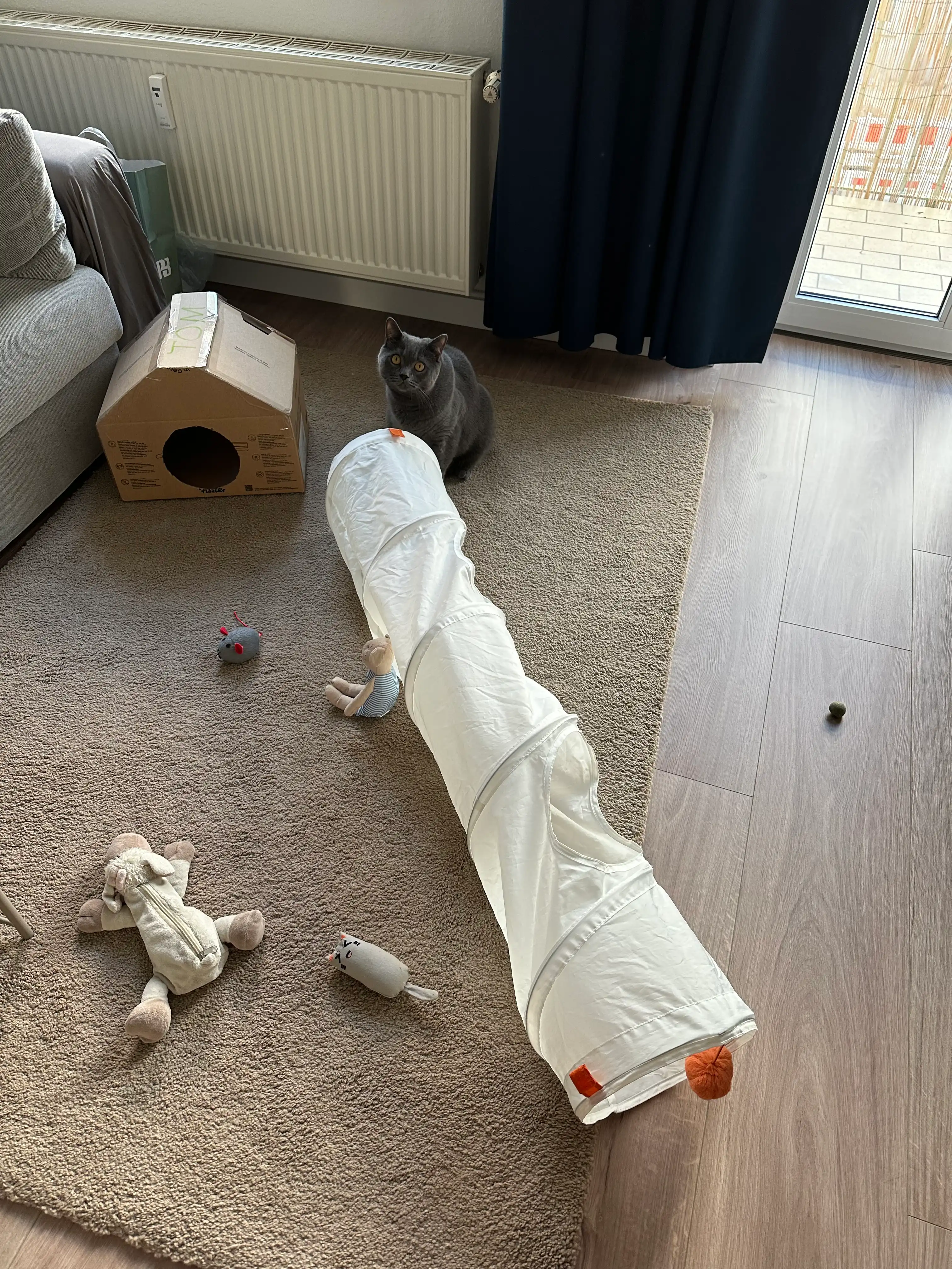image-13