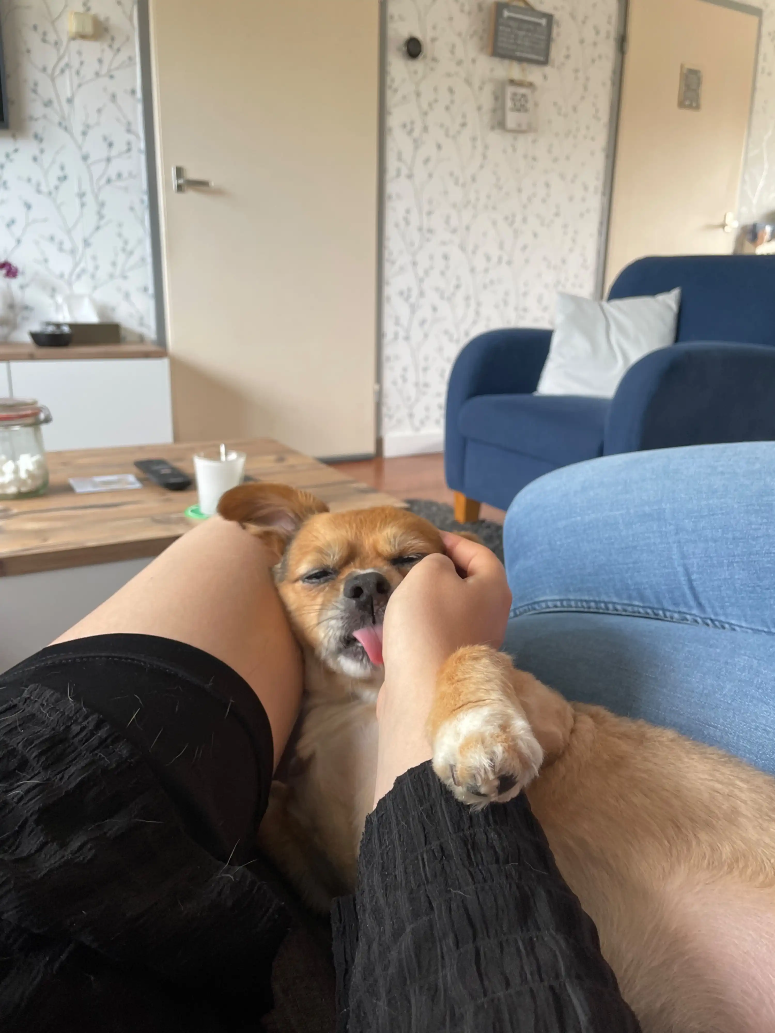 image-8