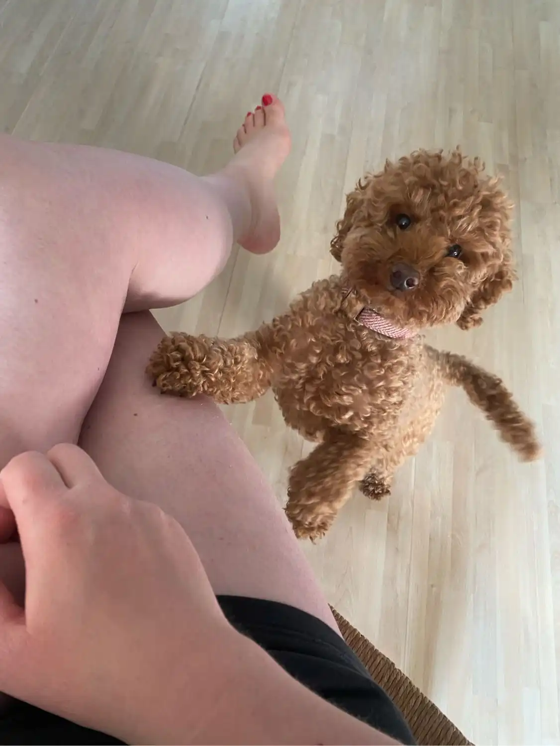 image-7