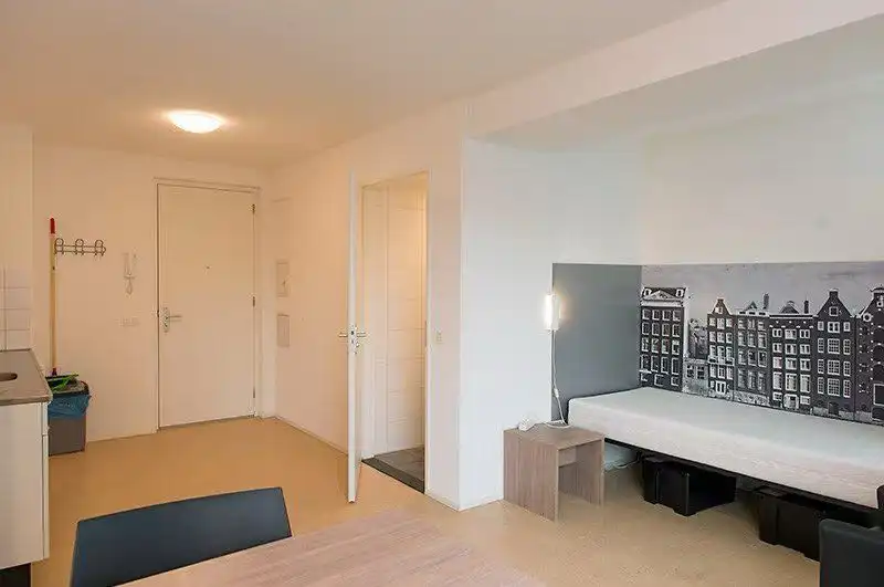 image-7