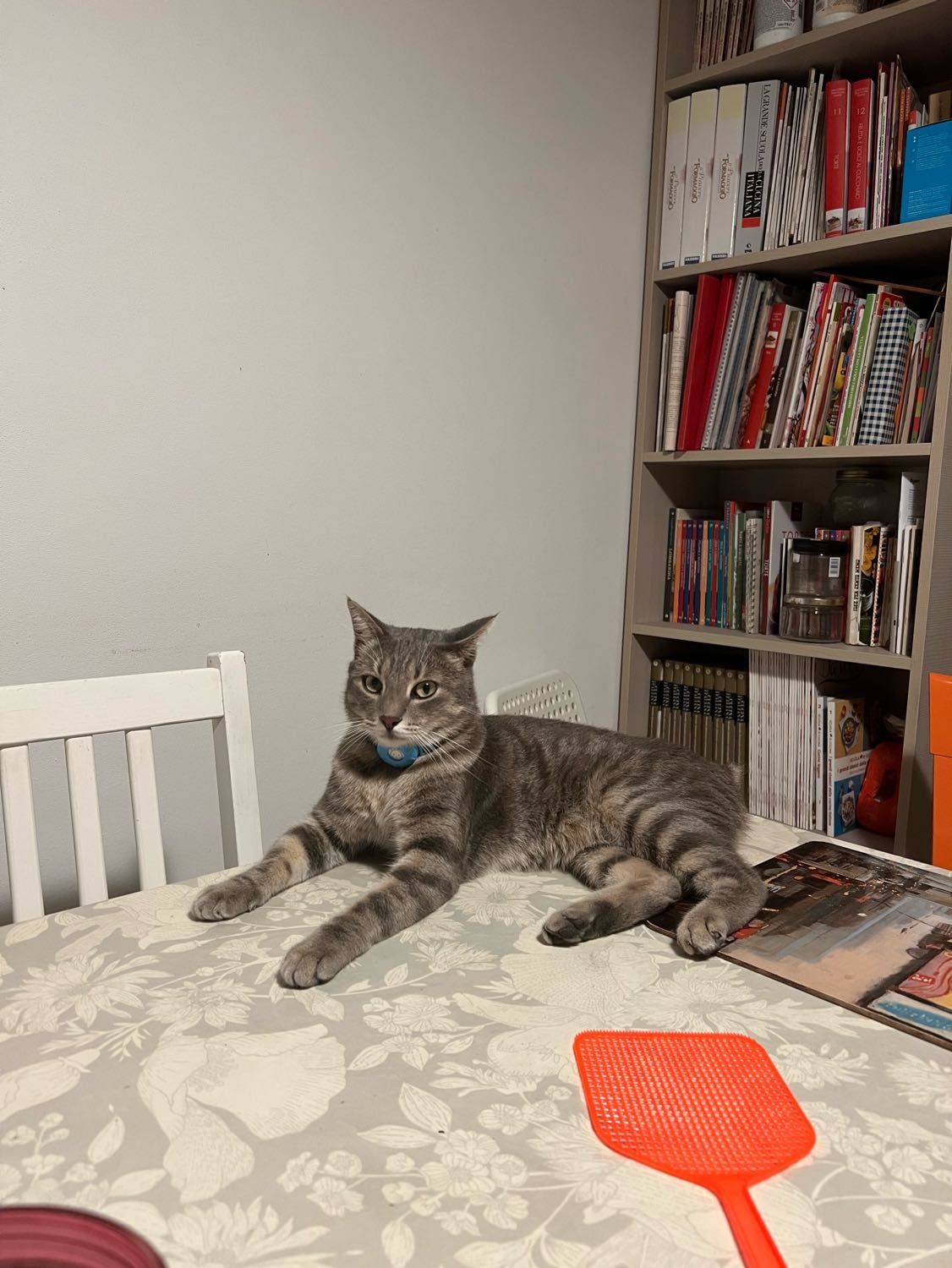 image-6
