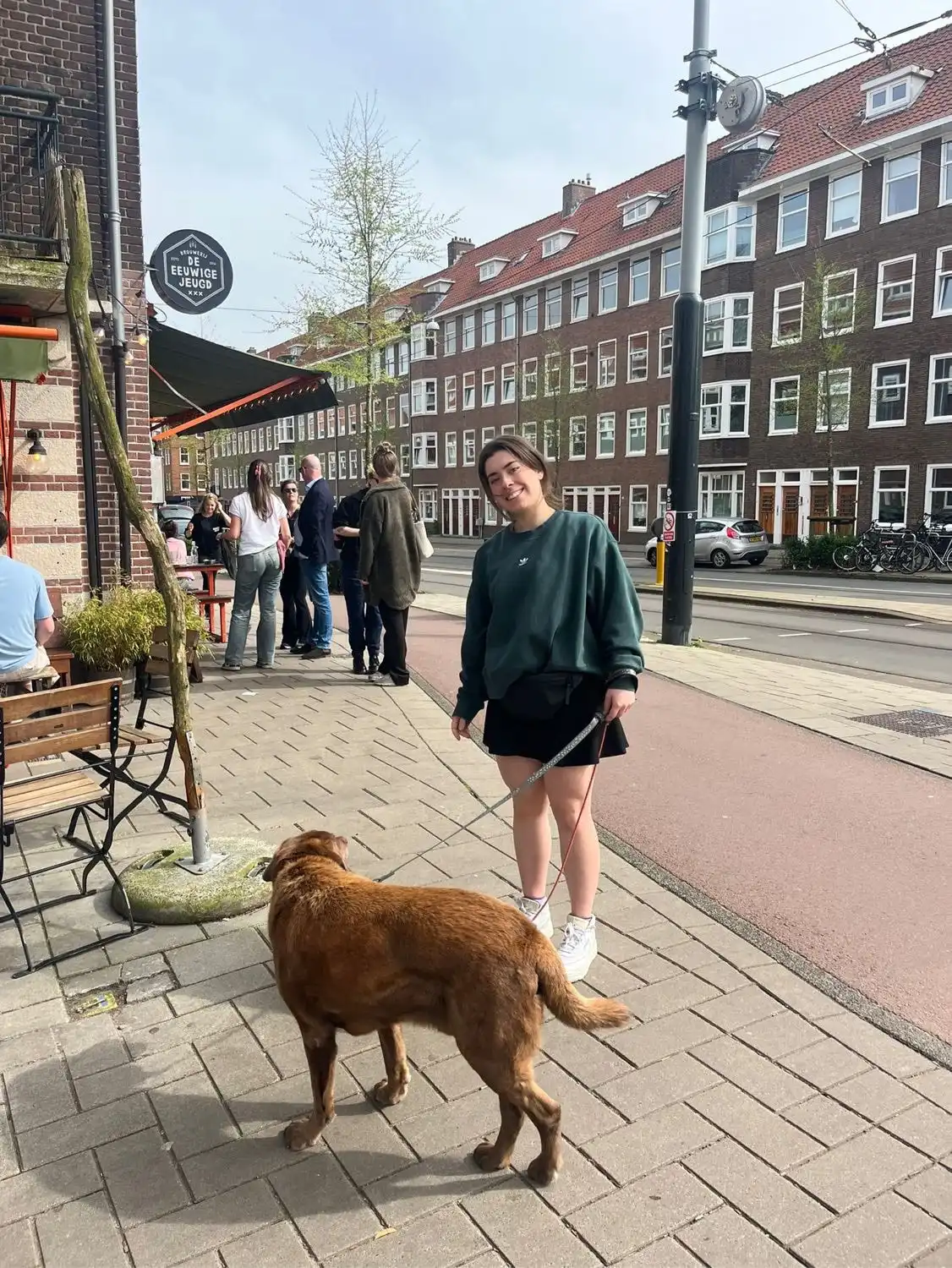 image-6