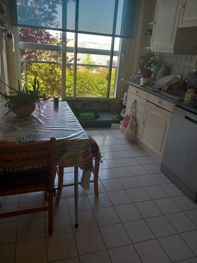 image-17