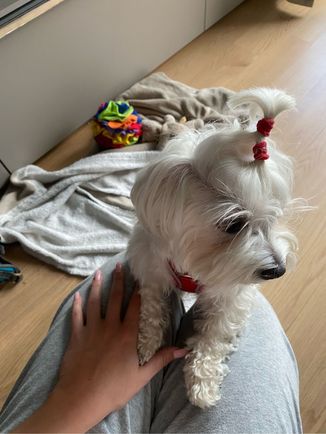 image-9