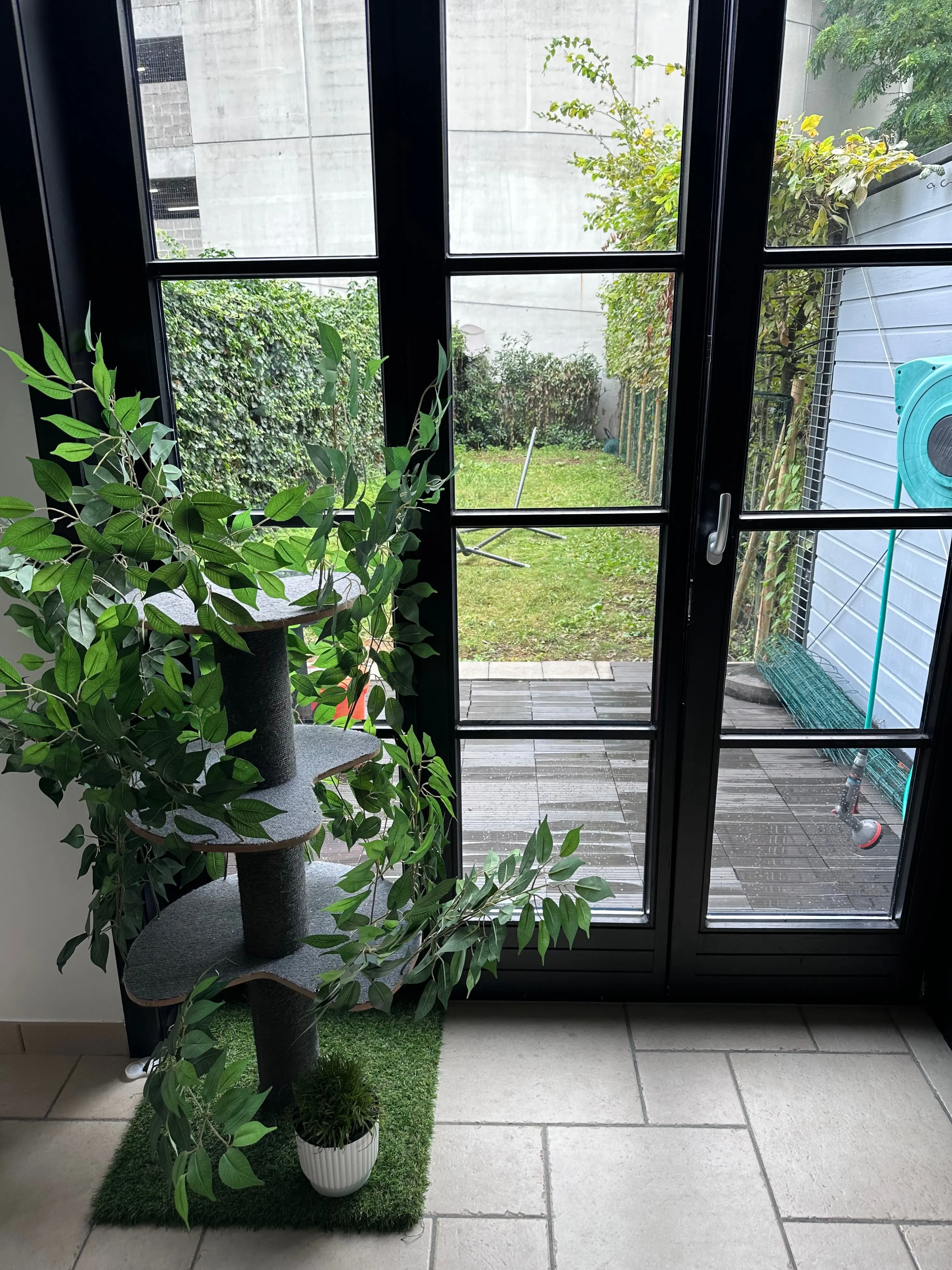 image-4