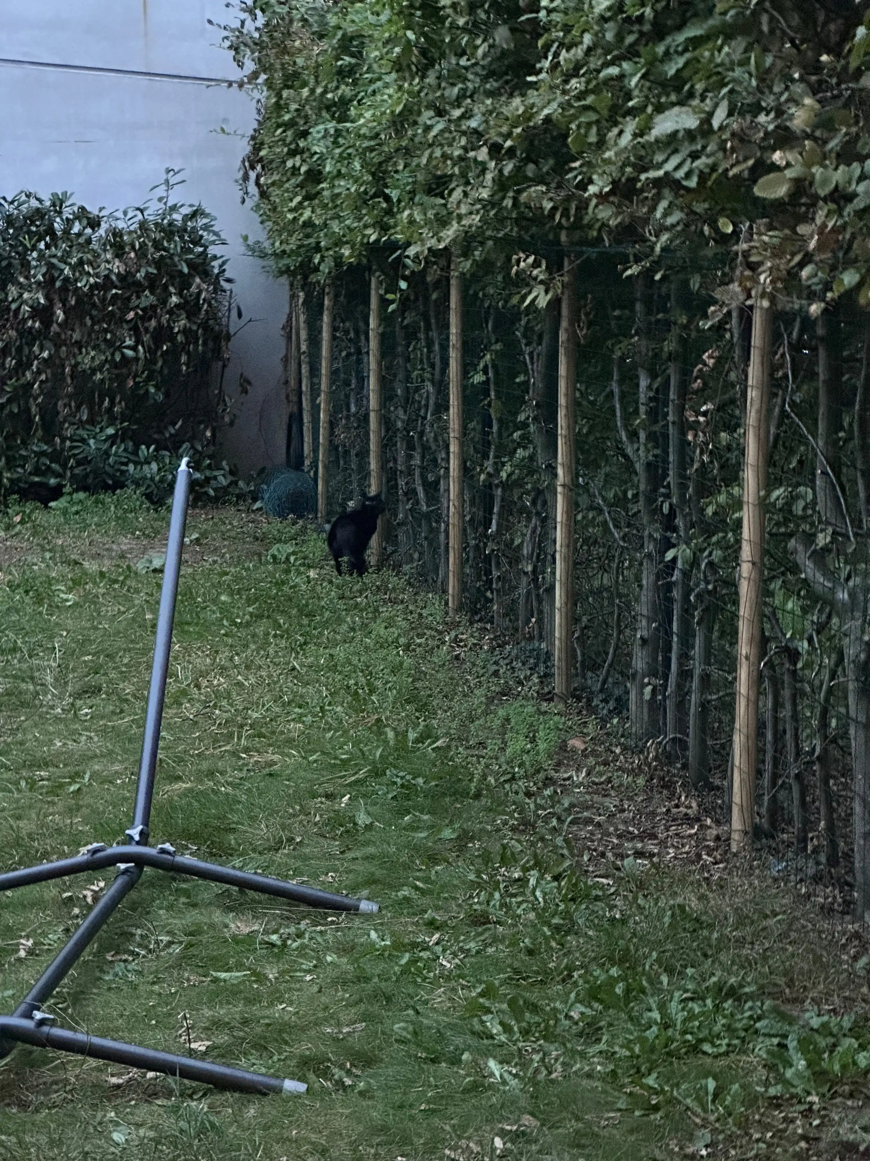 image-8