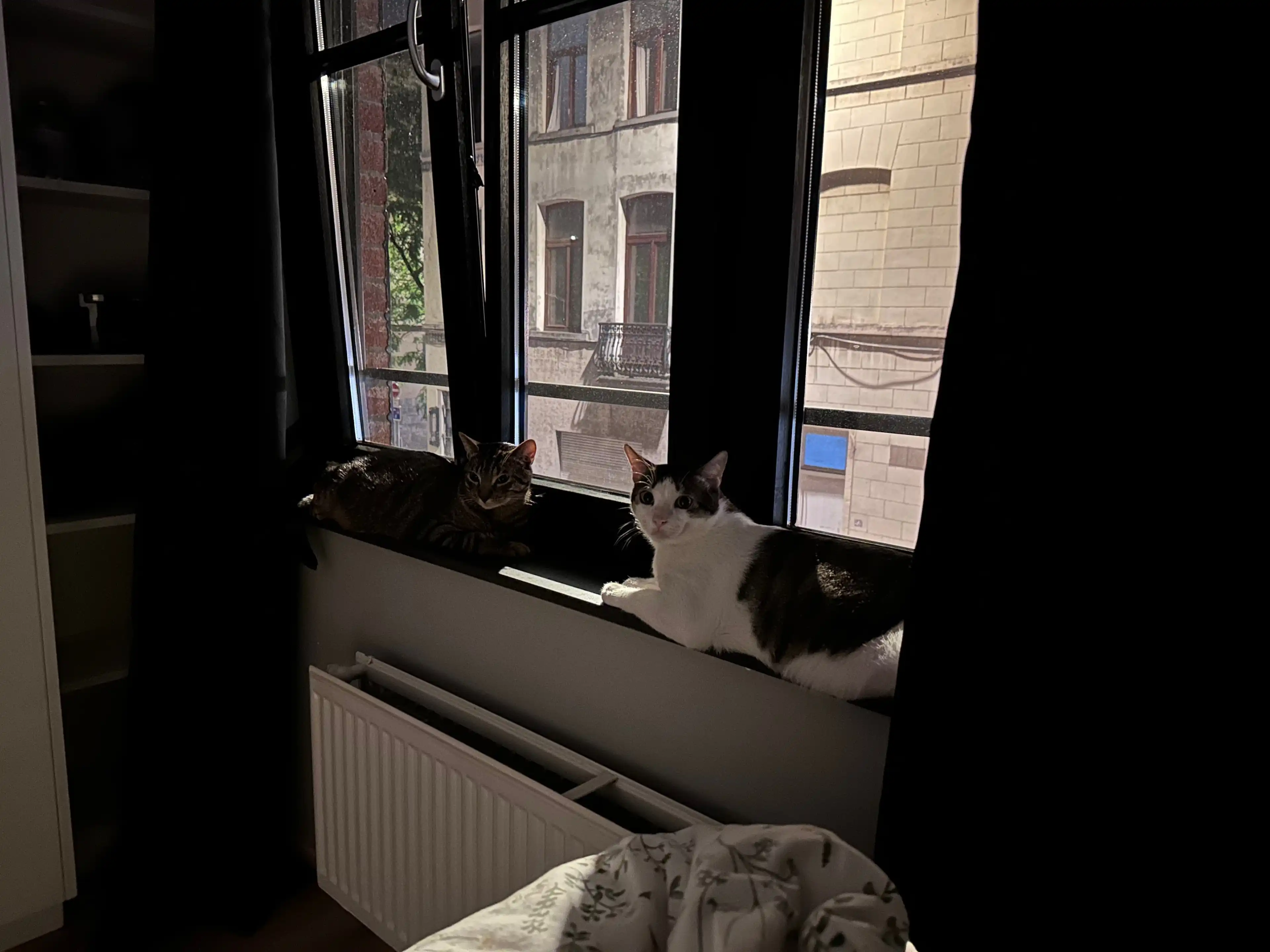 image-13