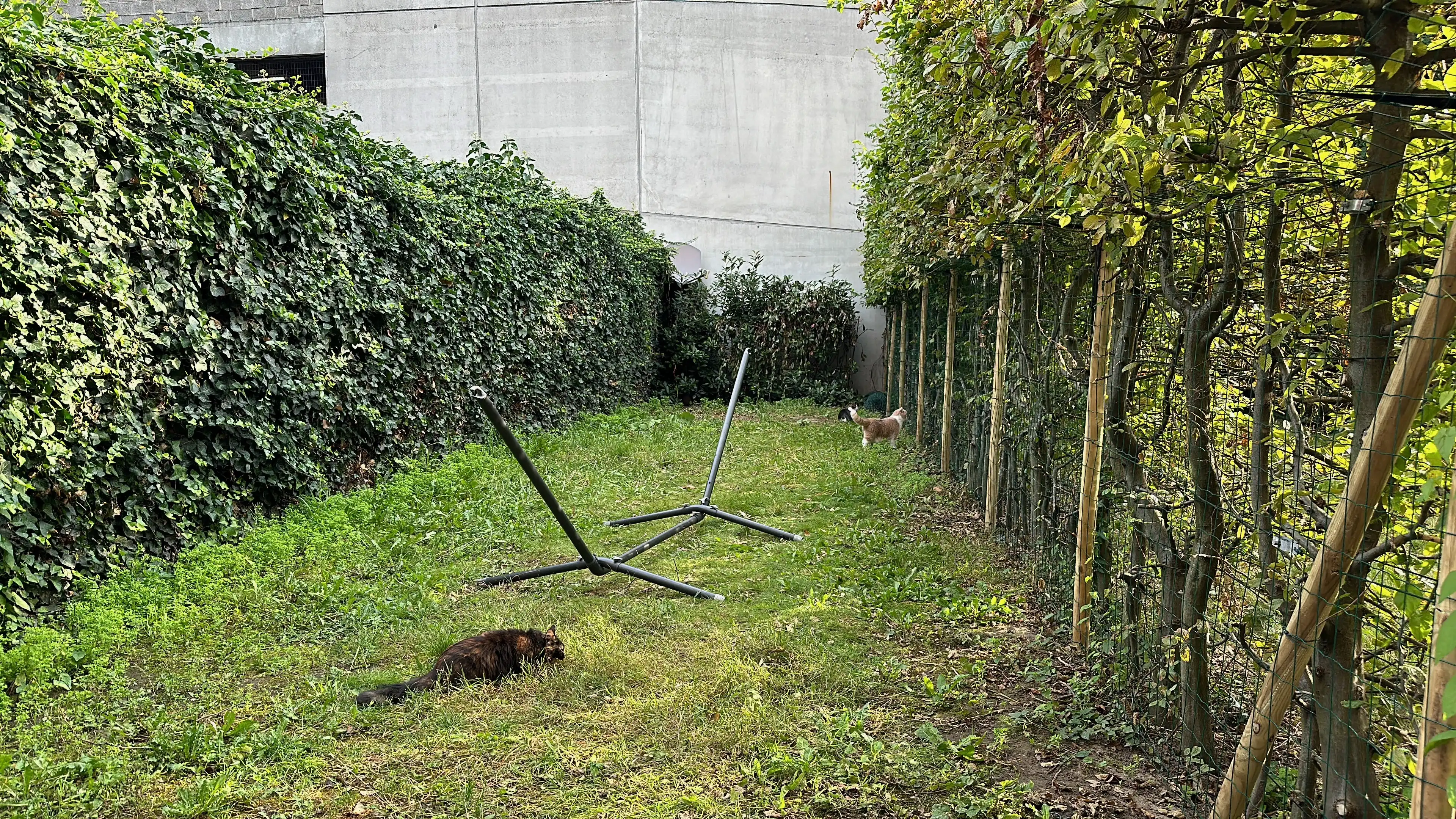 image-7