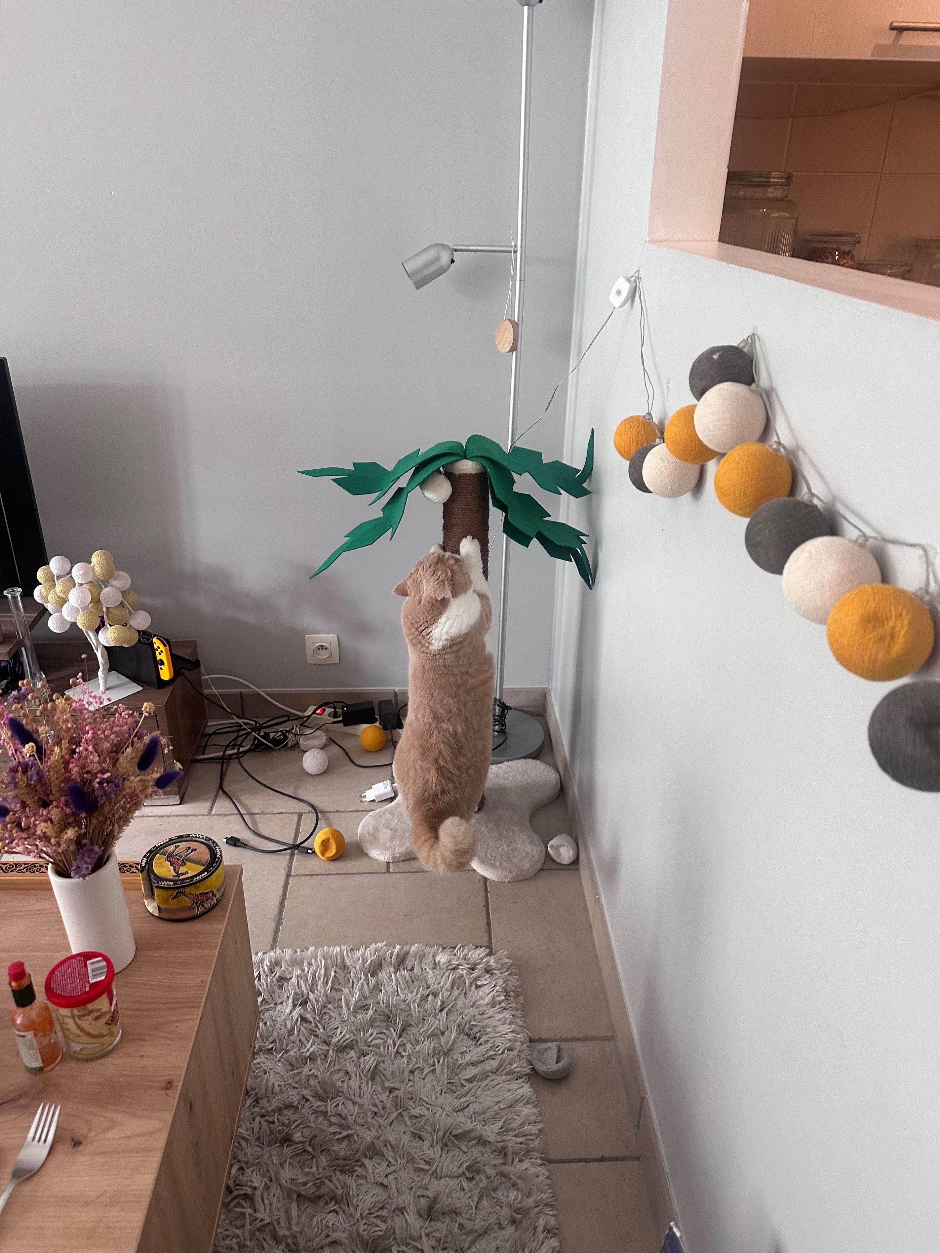 image-3